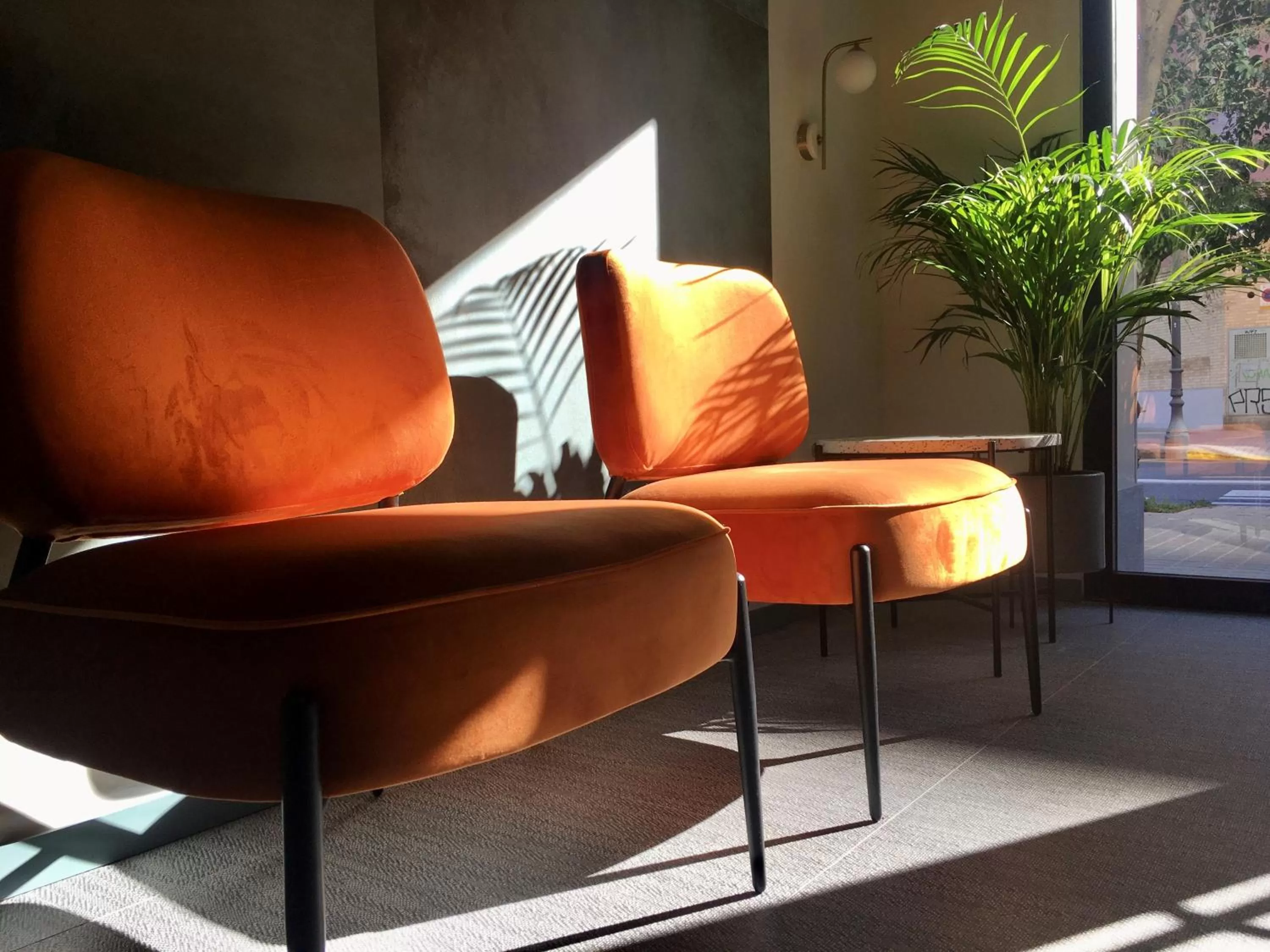 Property building in MD Modern Hotel - Jardines