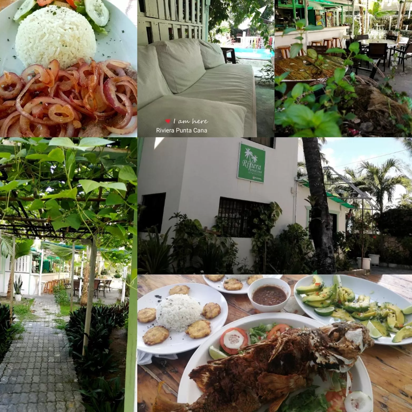 Property building in Riviera Punta Cana Eco Travelers