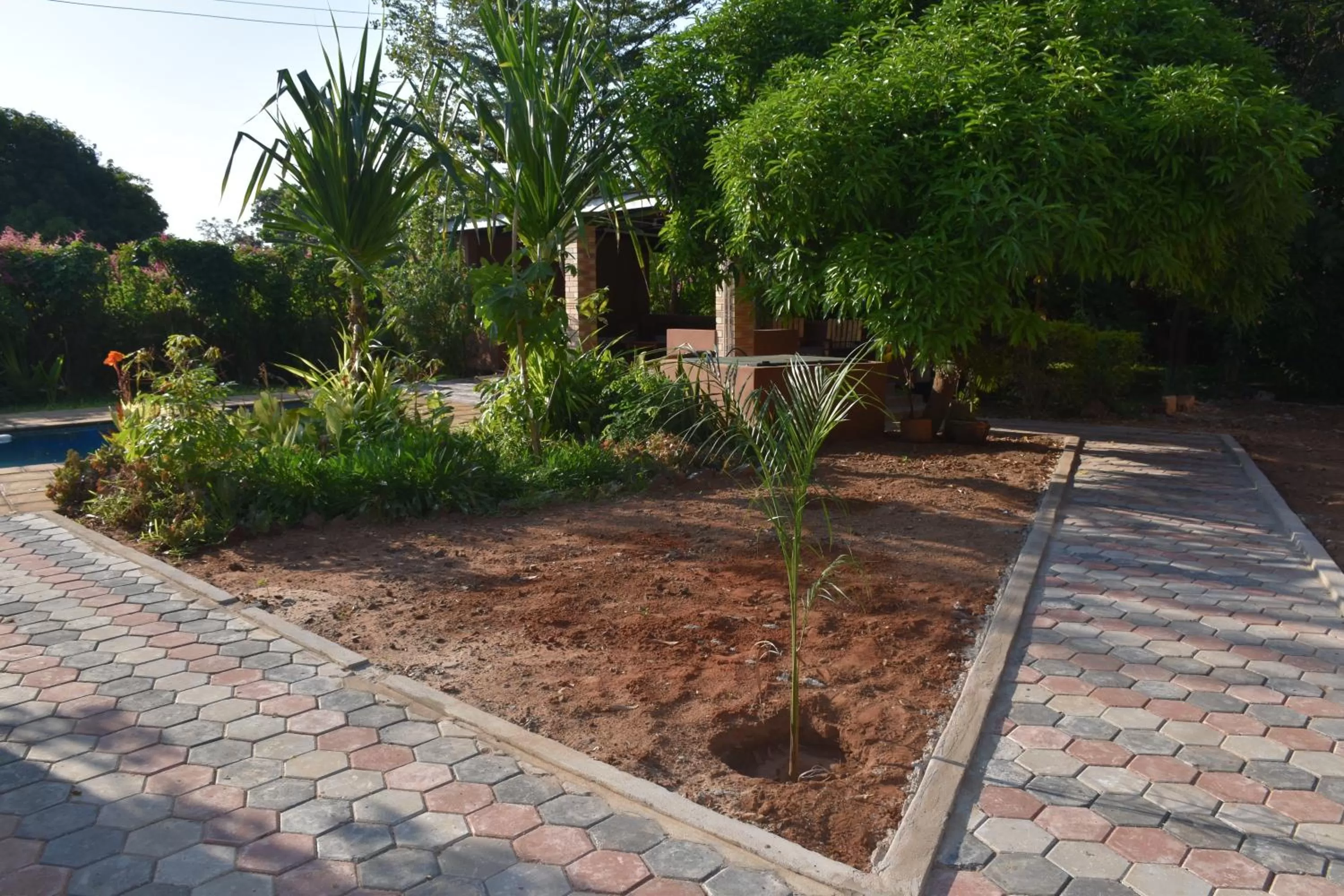 Garden in Tabonina Bis