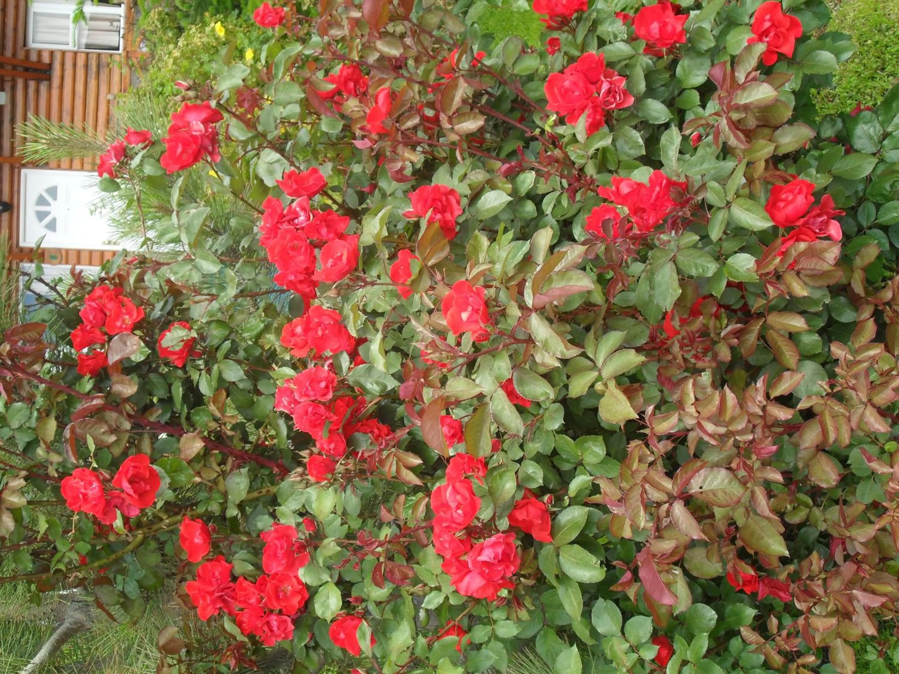 Other in Solares Del Sur