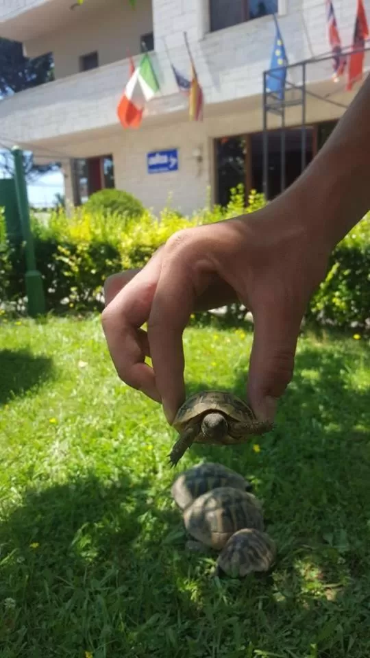 Hotel Ambasador Garden