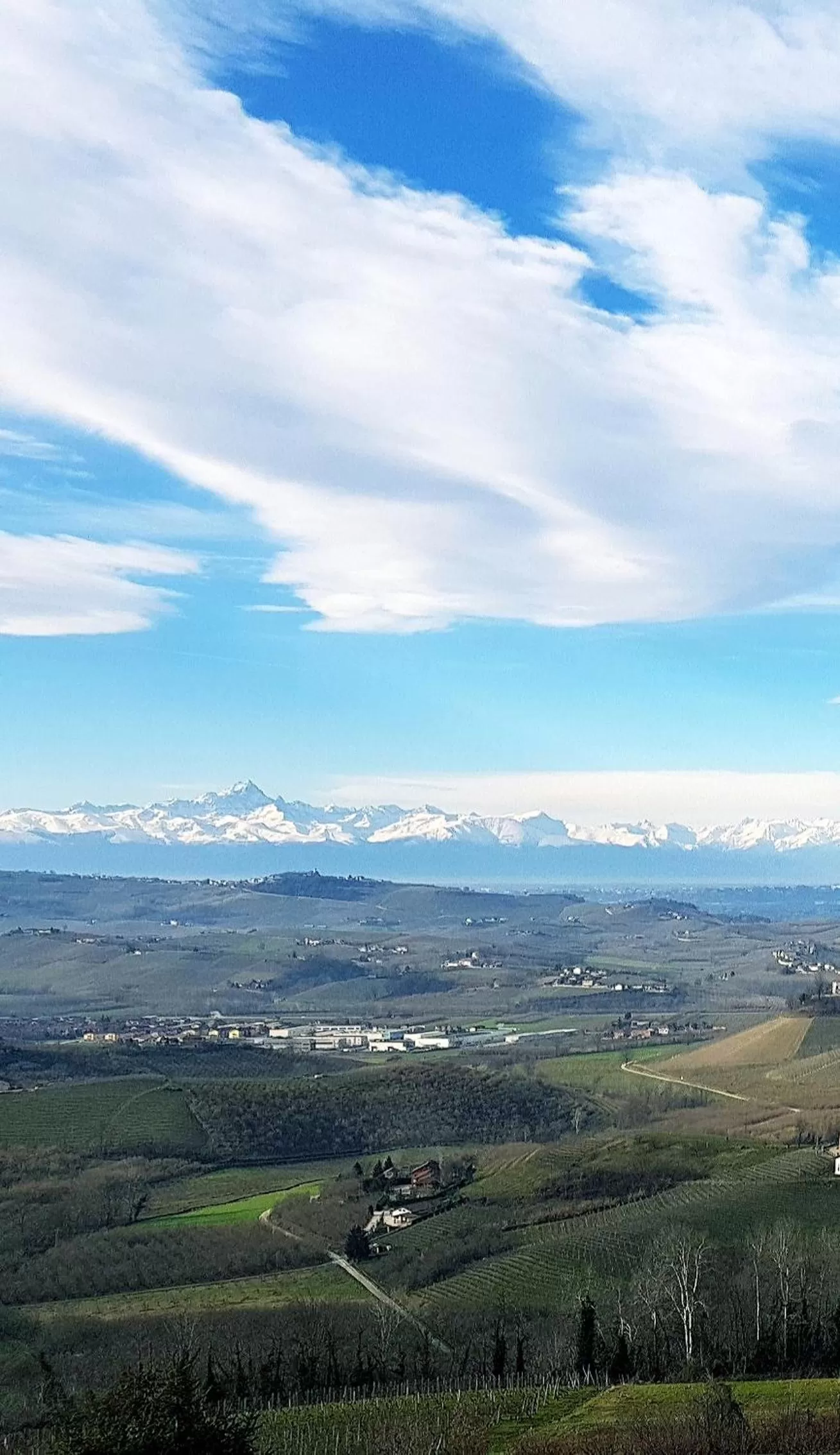 Natural landscape in Villa Bellavista Alba, B&B