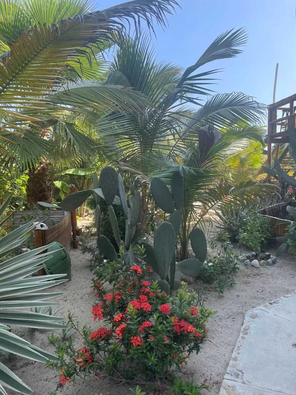 Garden in Un Dia Boutique Resort