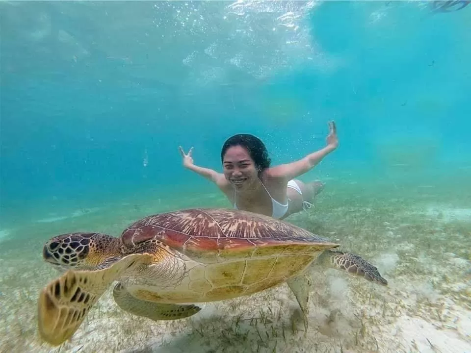 Animals in Tauig Beach Resort