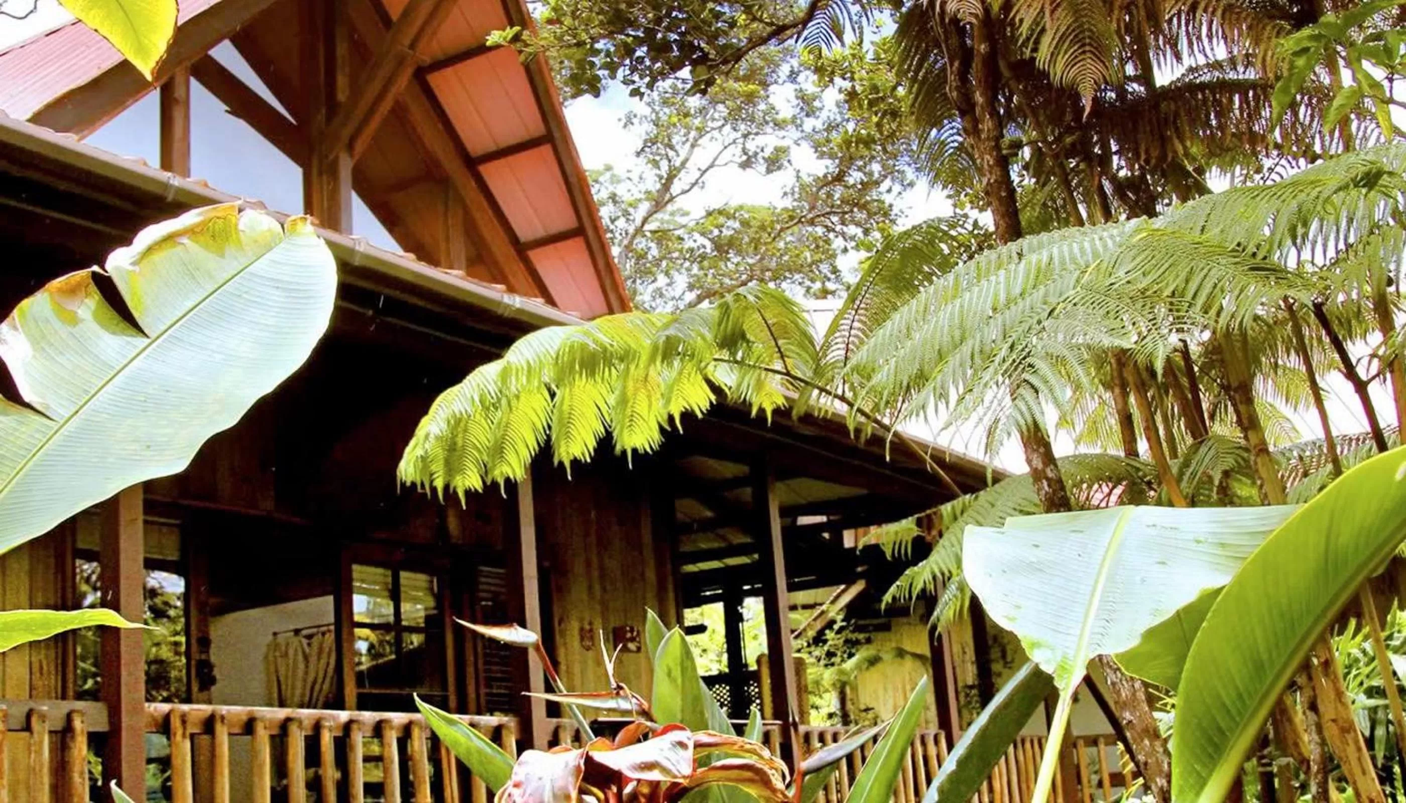 Property Building in Lotus Garden Cottages