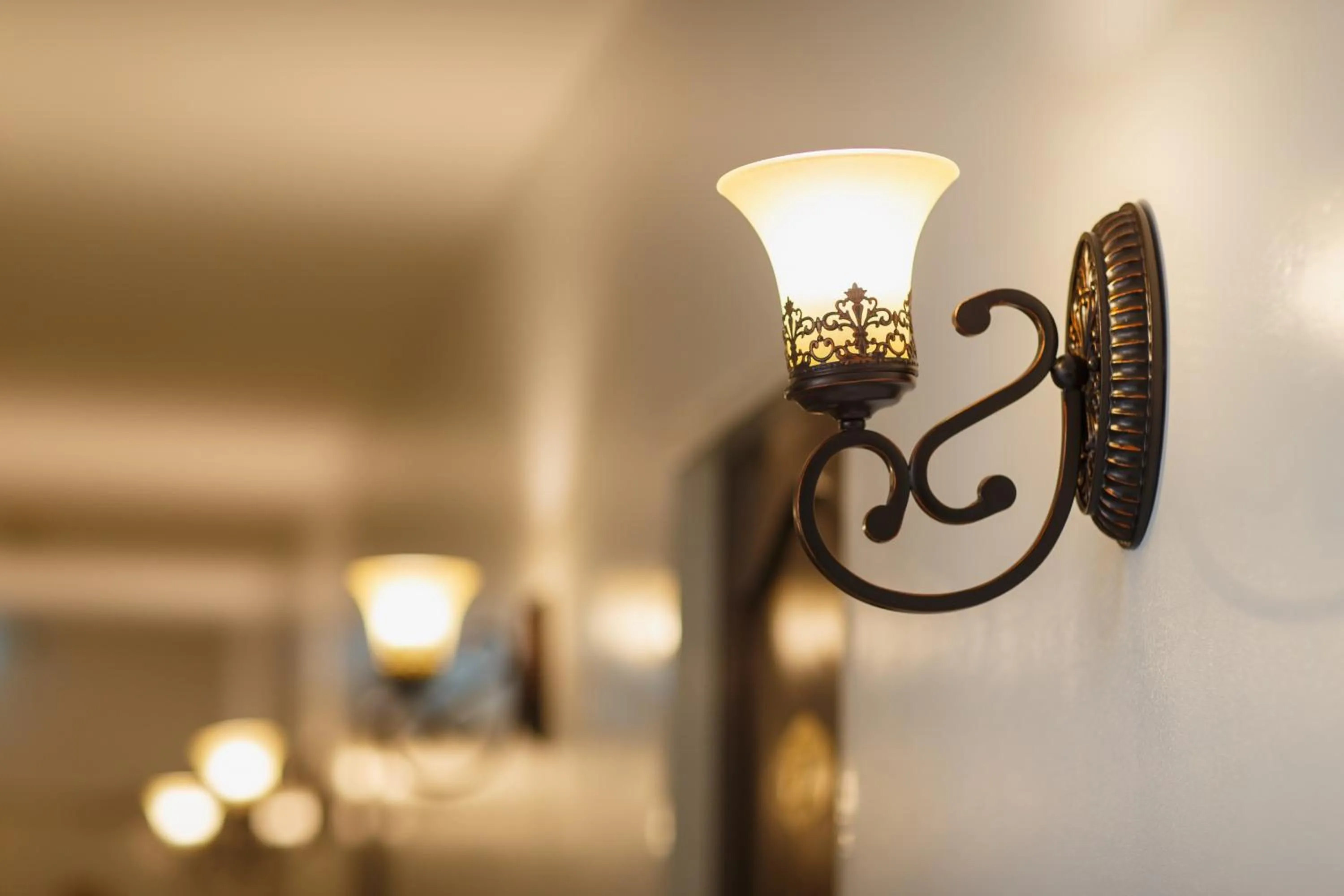 Other in The Velvet Orchid