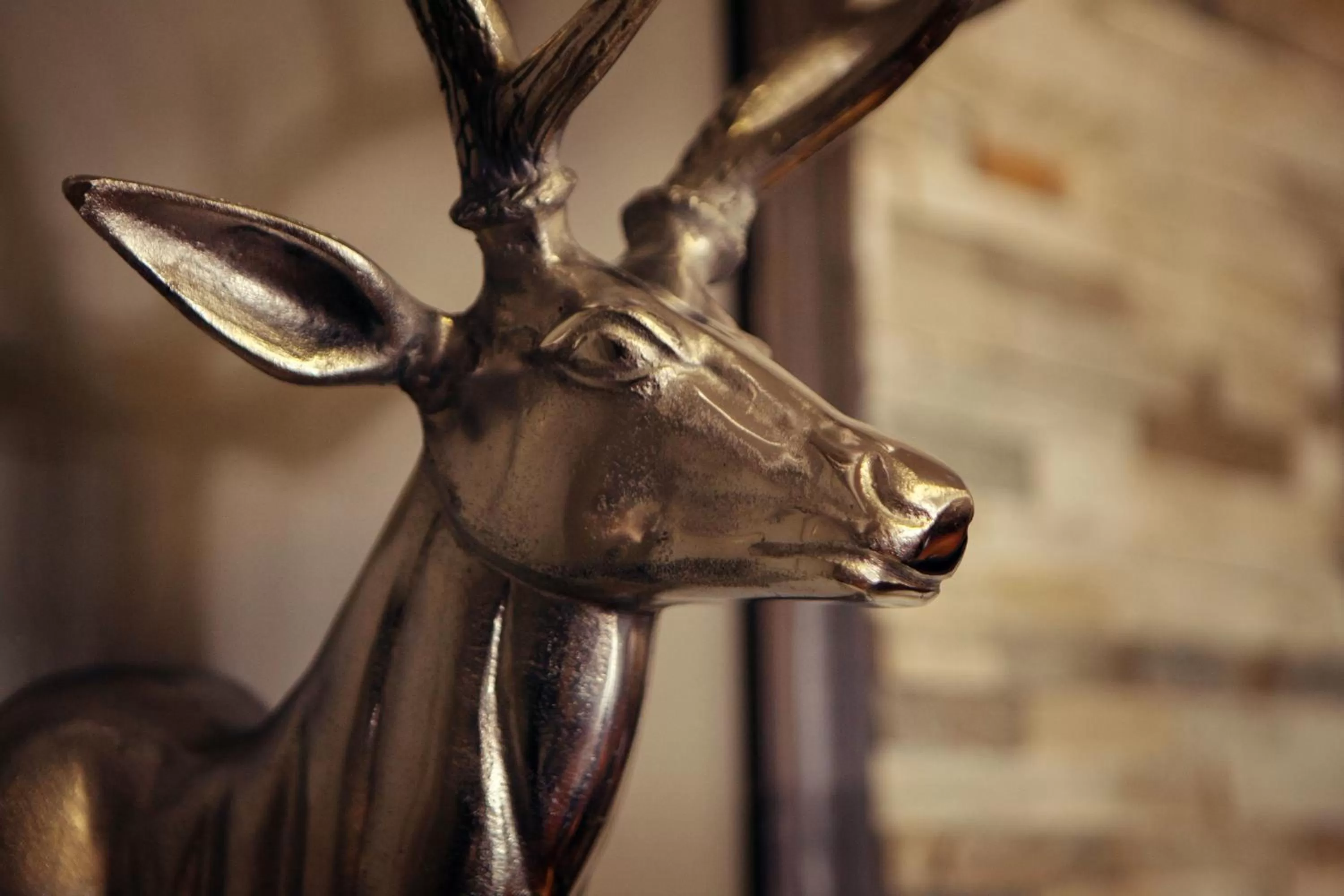 Decorative detail, Other Animals in Auberge Éva