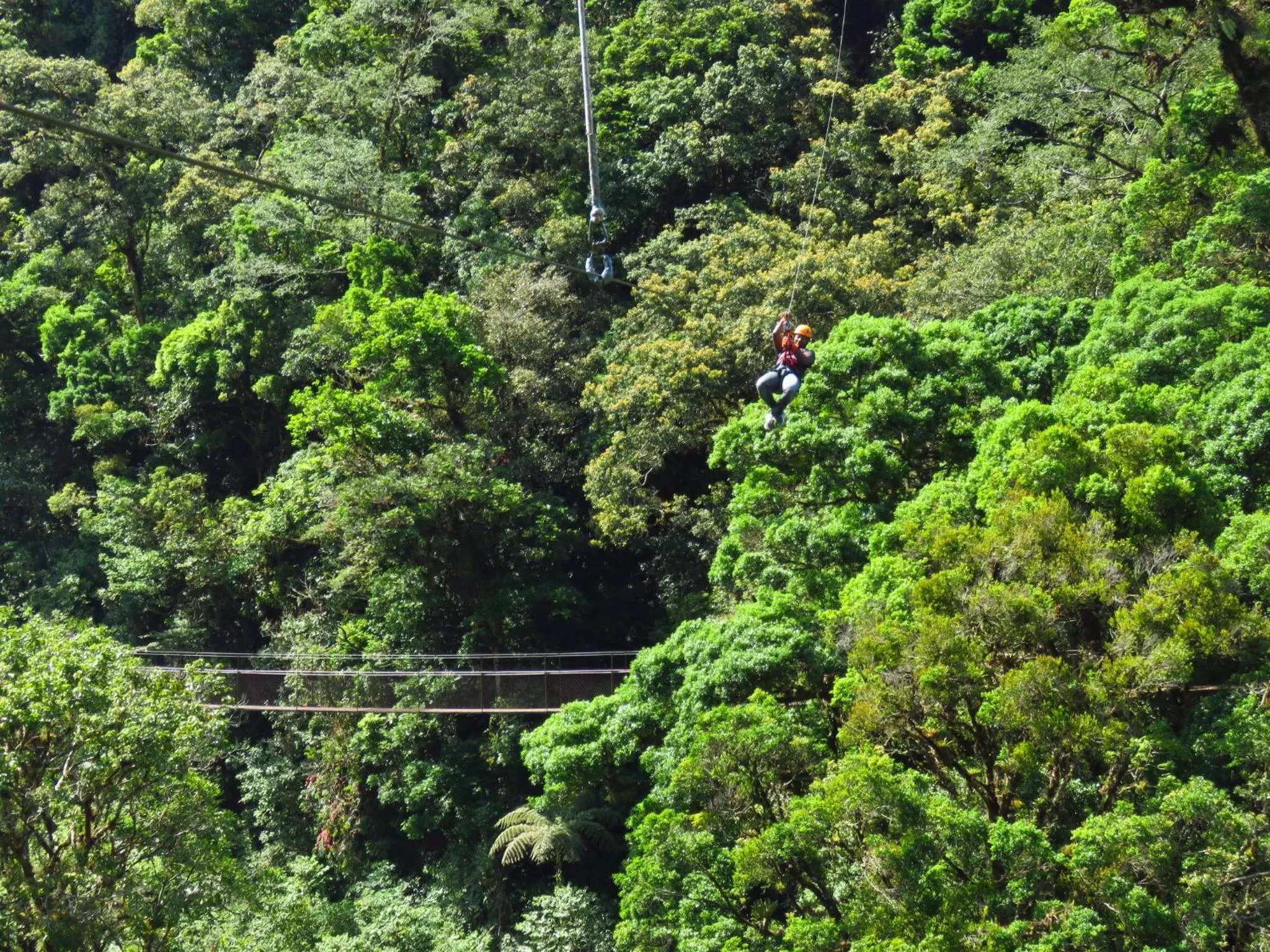 Activities in TREE TREK BOQUETE Adventure Park