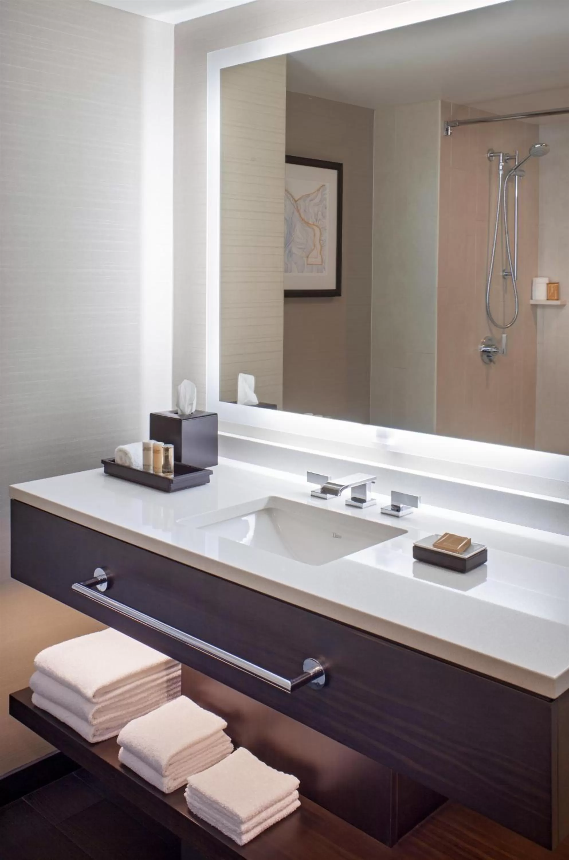 King Room with Accessible Shower - single occupancy - Disability Access in Grand Hyatt Denver