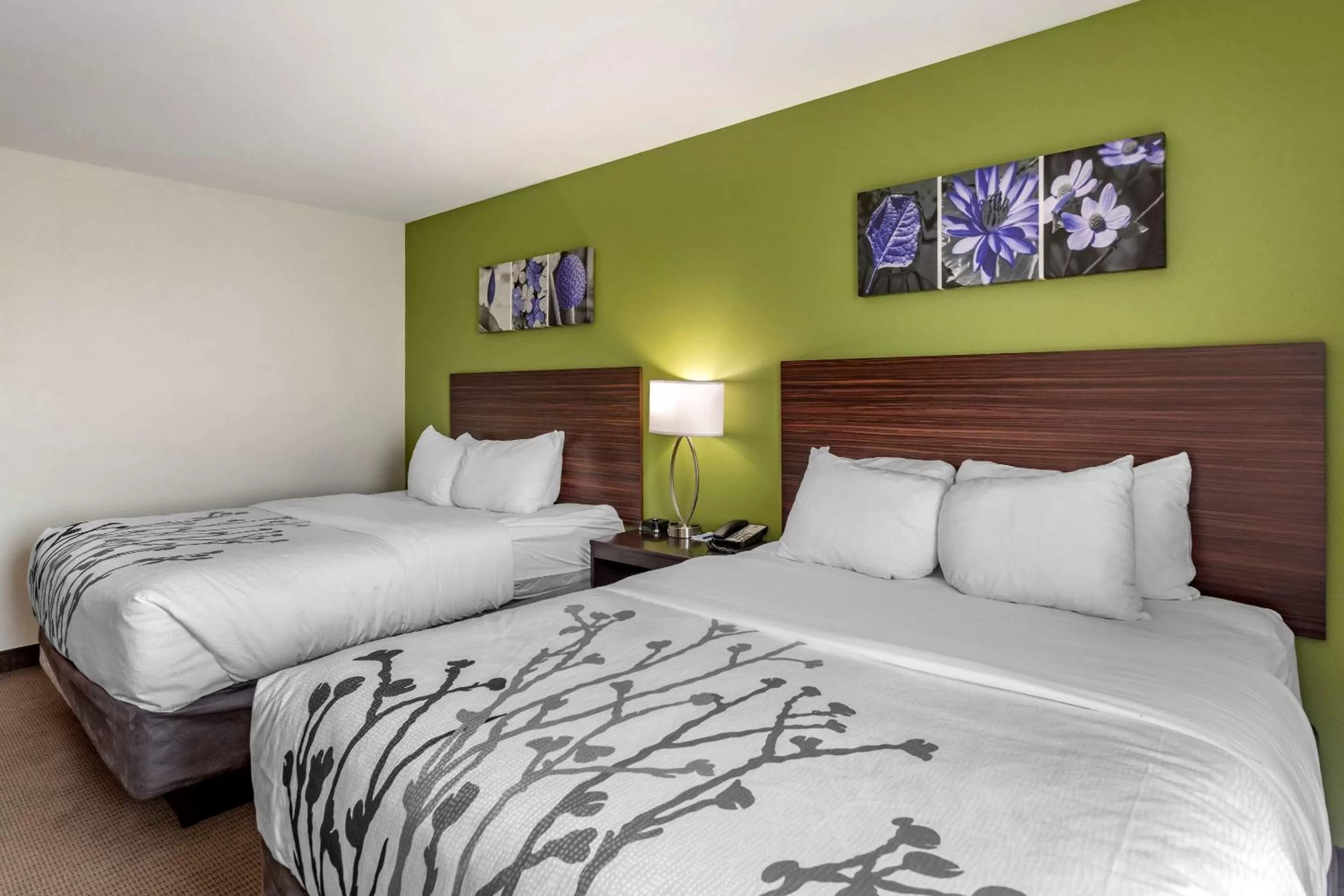 Bedroom in Sleep Inn Bowling Green North