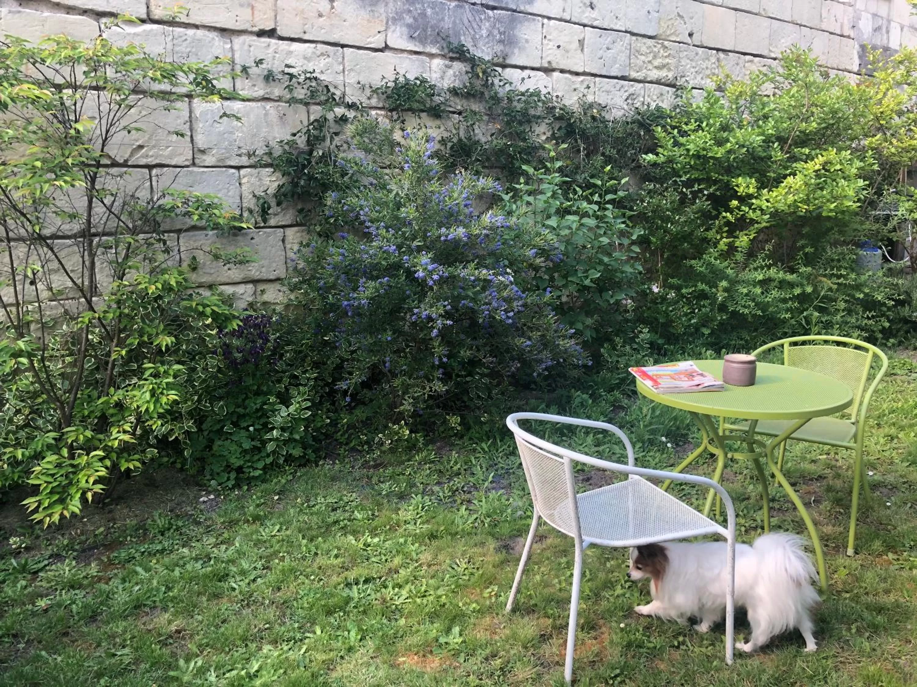 Garden in A la Fleur de Lys