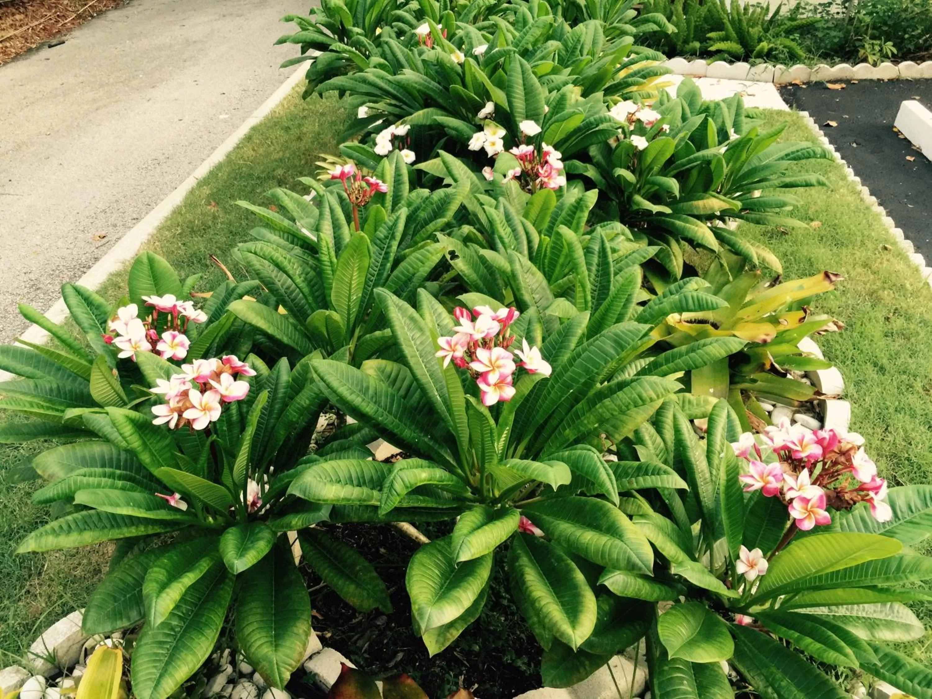 Decorative detail in Downtown Hollywood Boutique Hotel