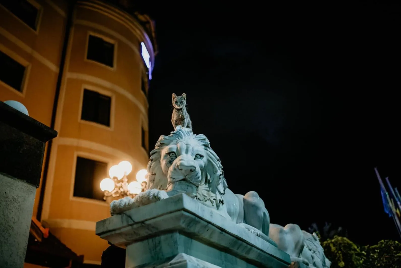 Property building in Hotel Coandi