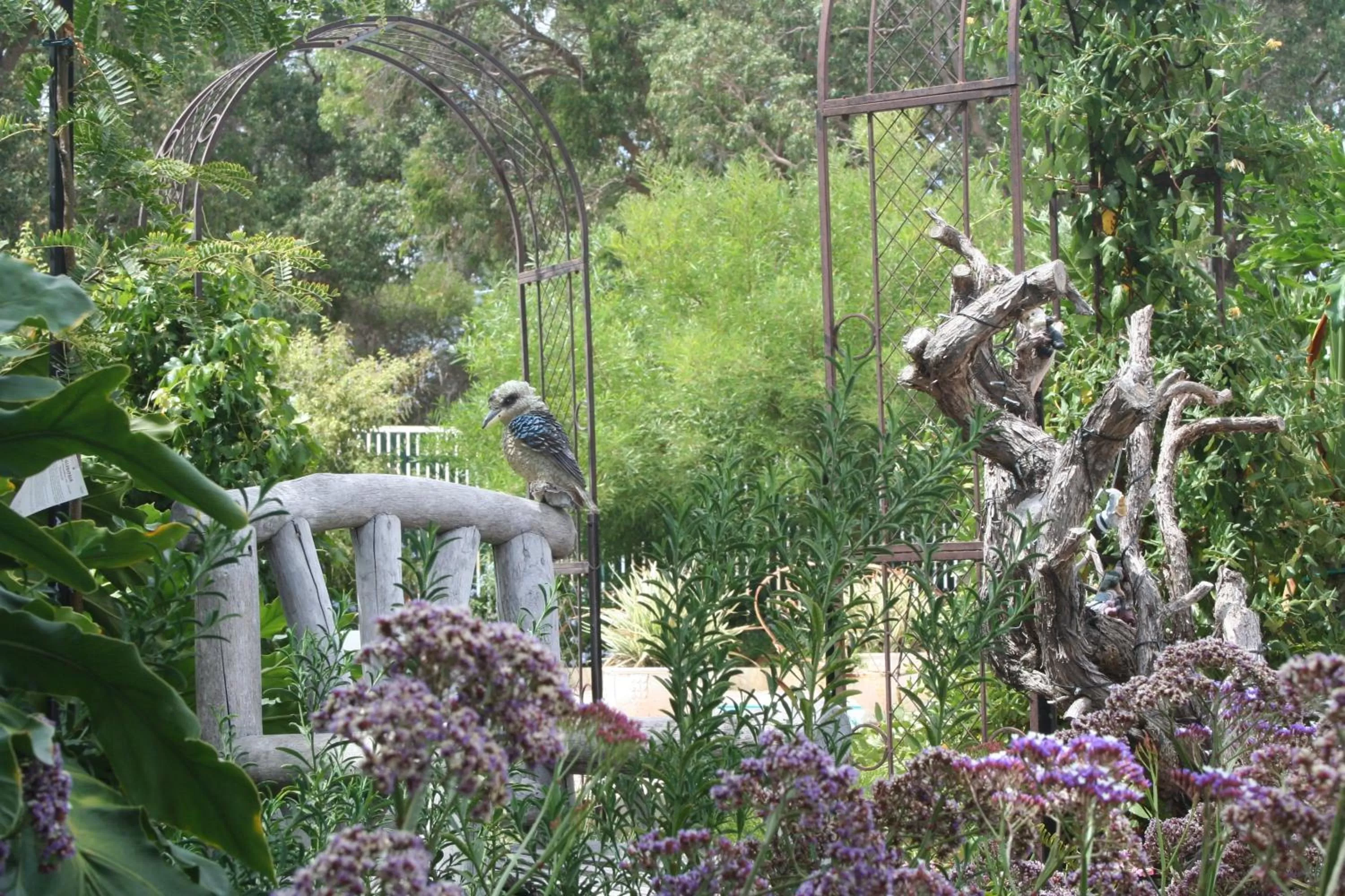 Garden in Rosebridge House Bed & Breakfast Adult Retreat