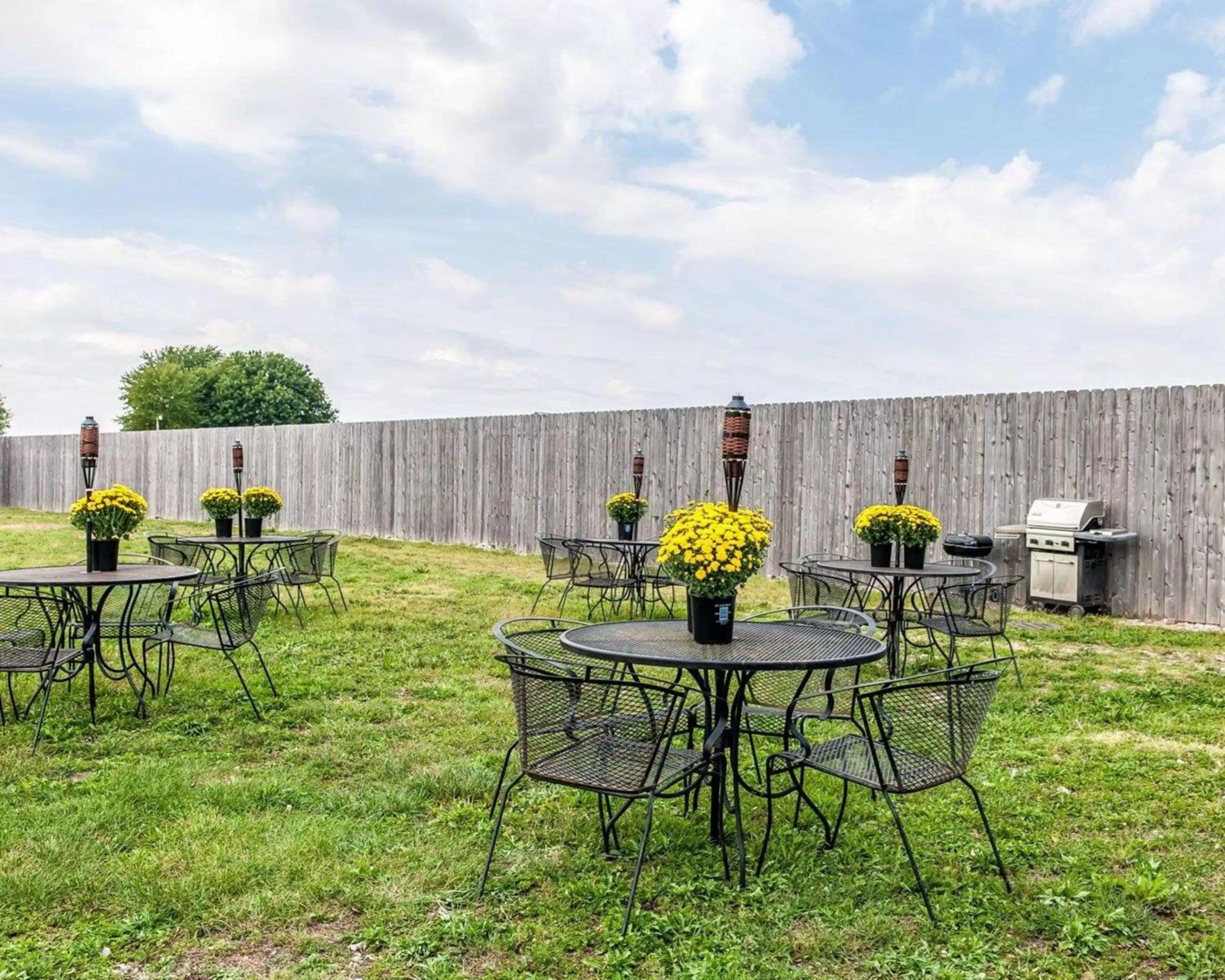 Other in Quality Inn & Suites Mattoon South