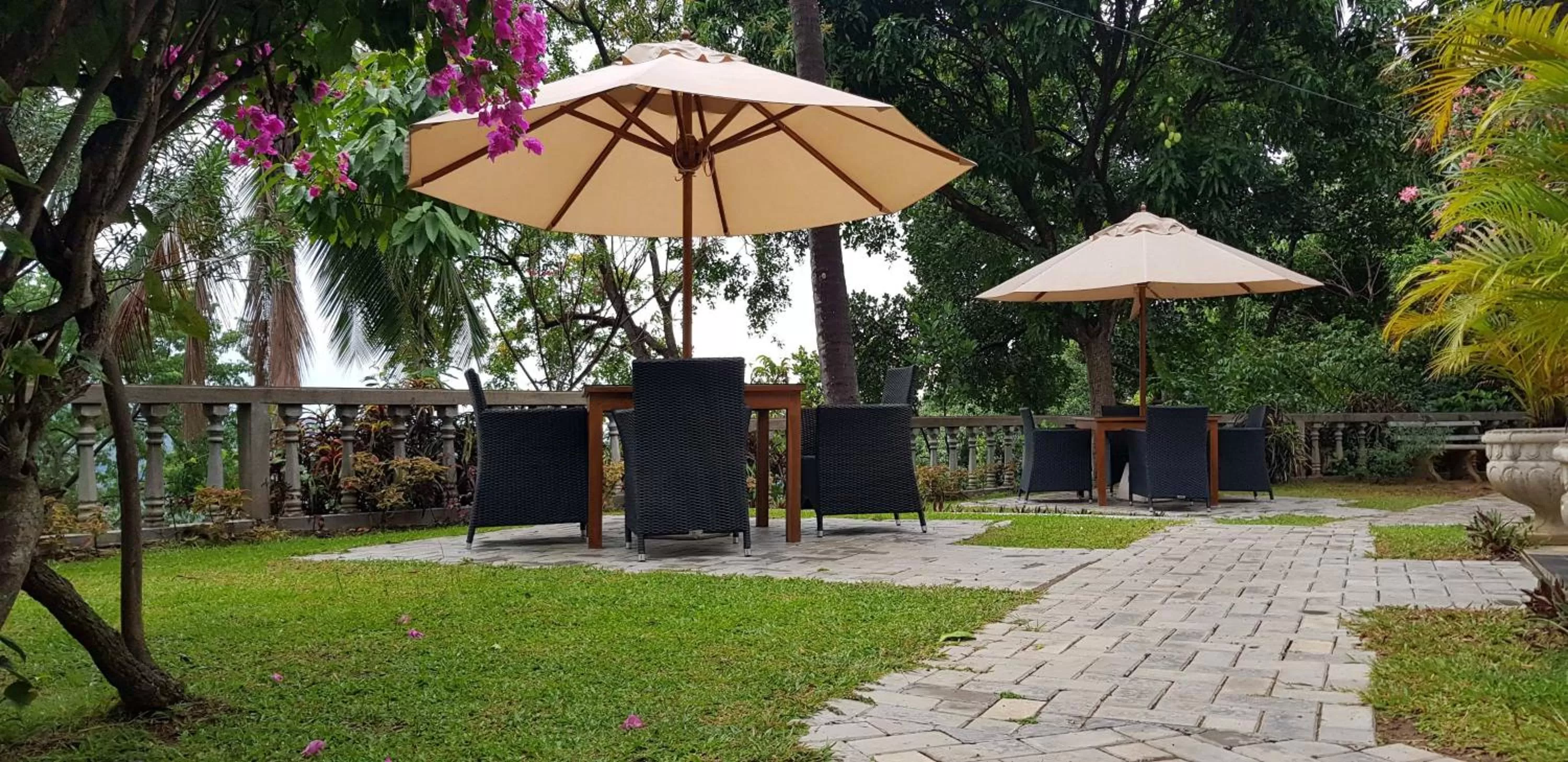 Sports in Ella Planters Bungalow