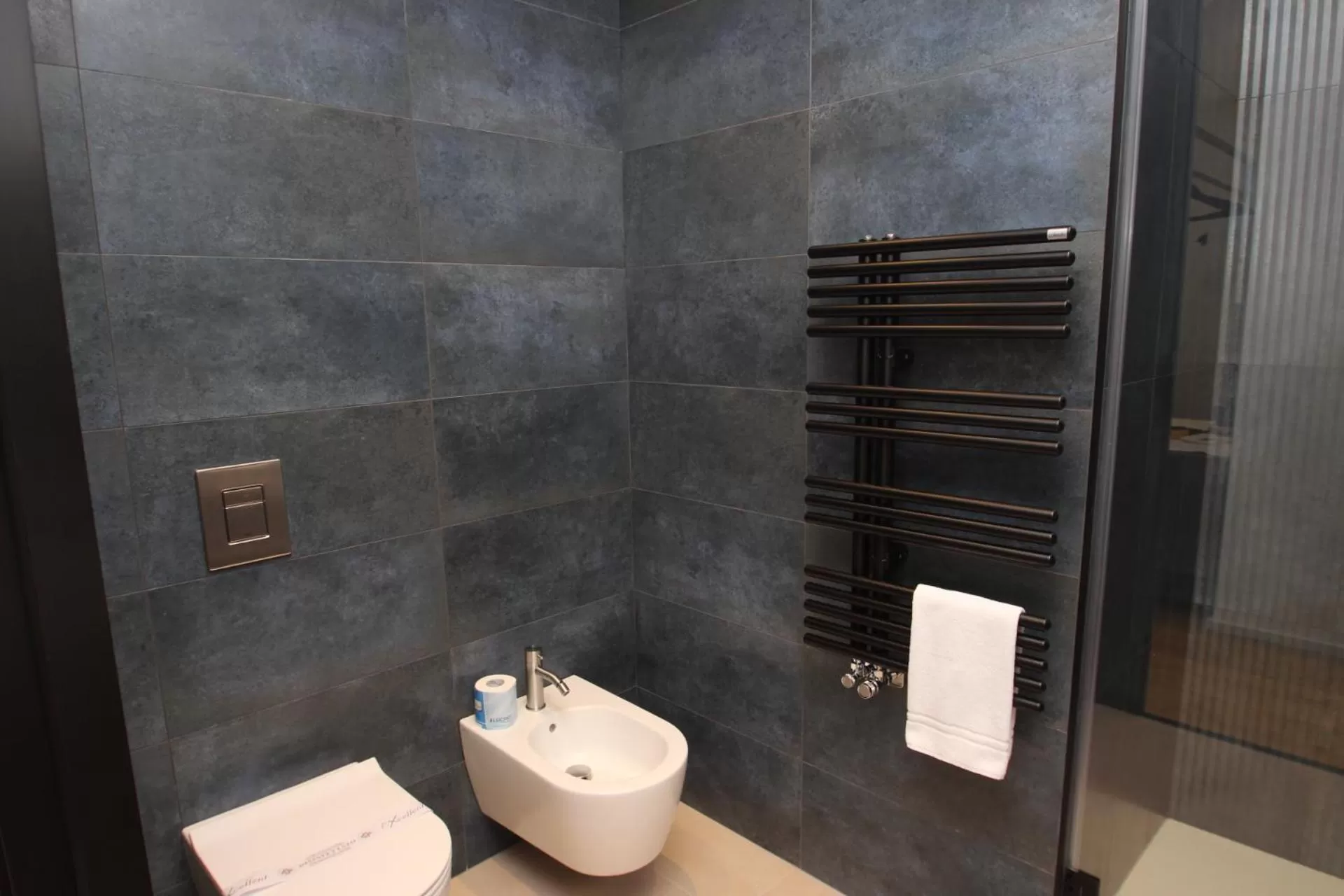 Deluxe Double or Twin Room in B&B Le Suites di Costanza