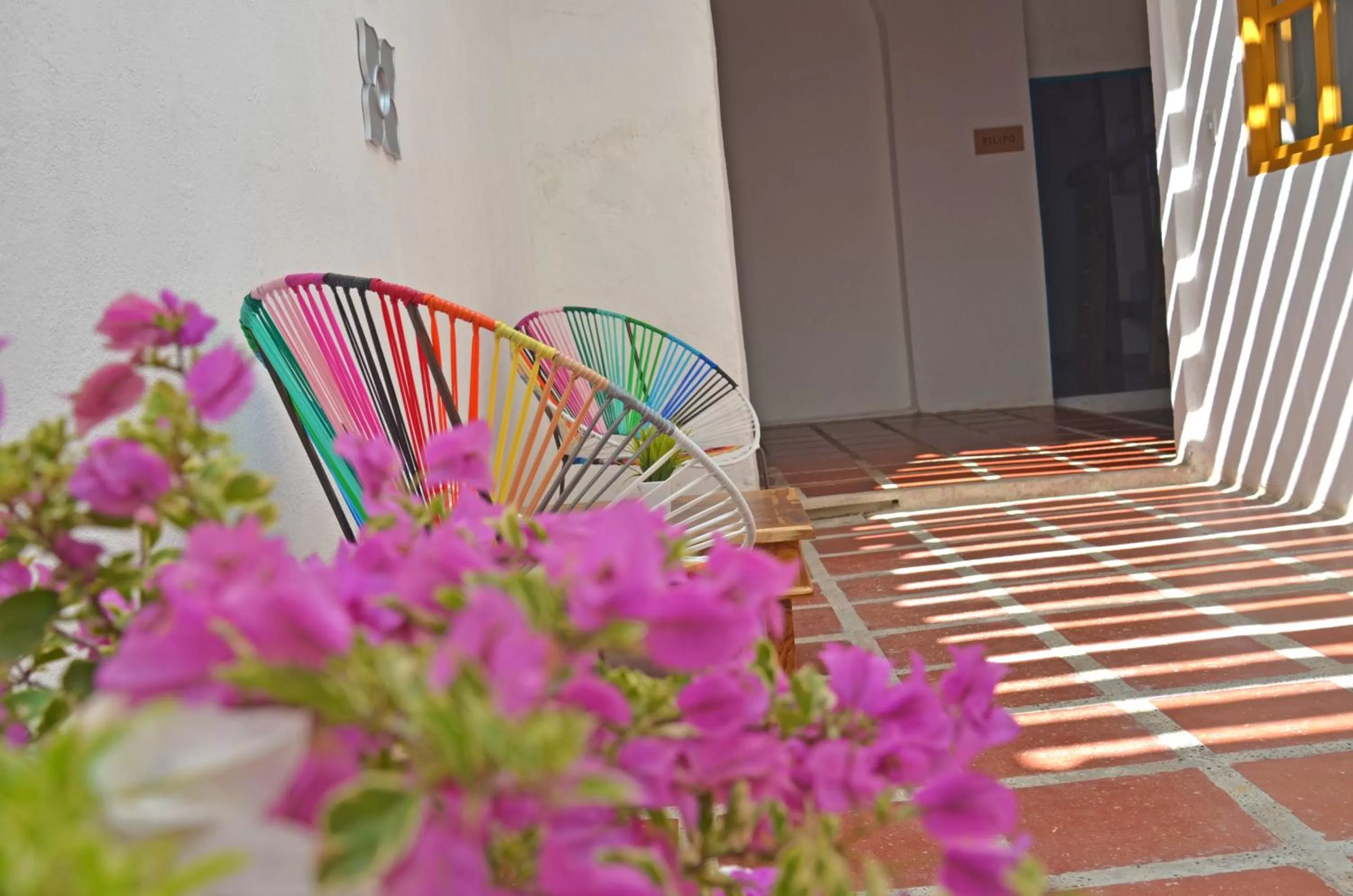 Patio in Faro de Alejandría Hostel