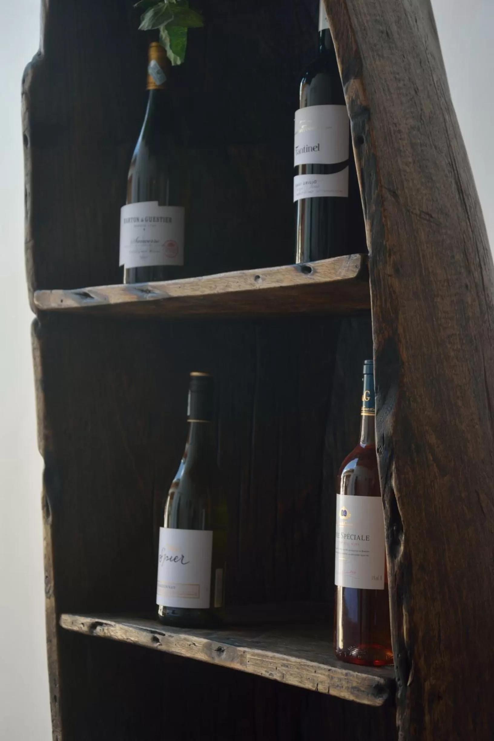 Alcoholic drinks, Drinks in Triniti Airport Hotel