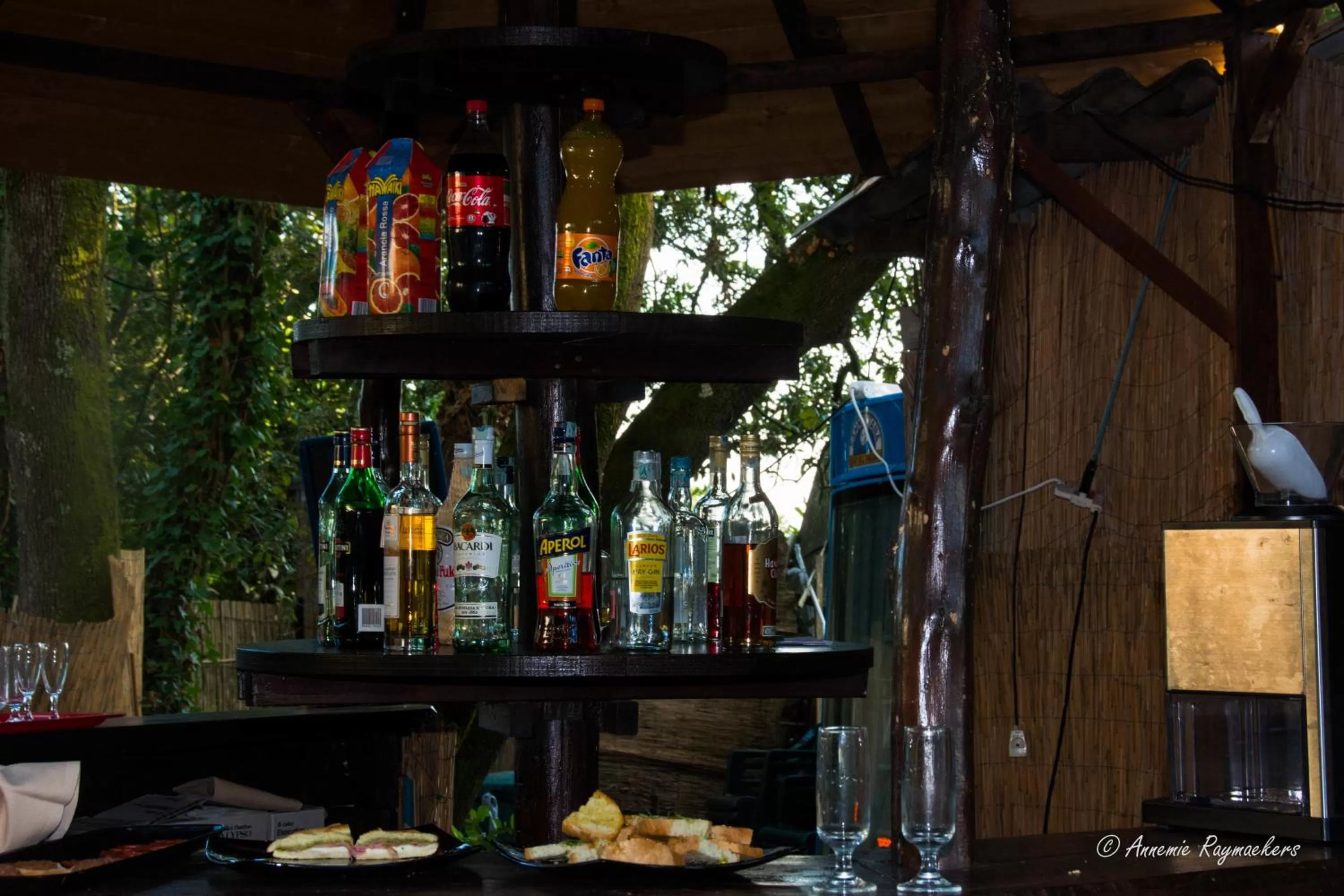 Lounge or bar in Hotel Monti