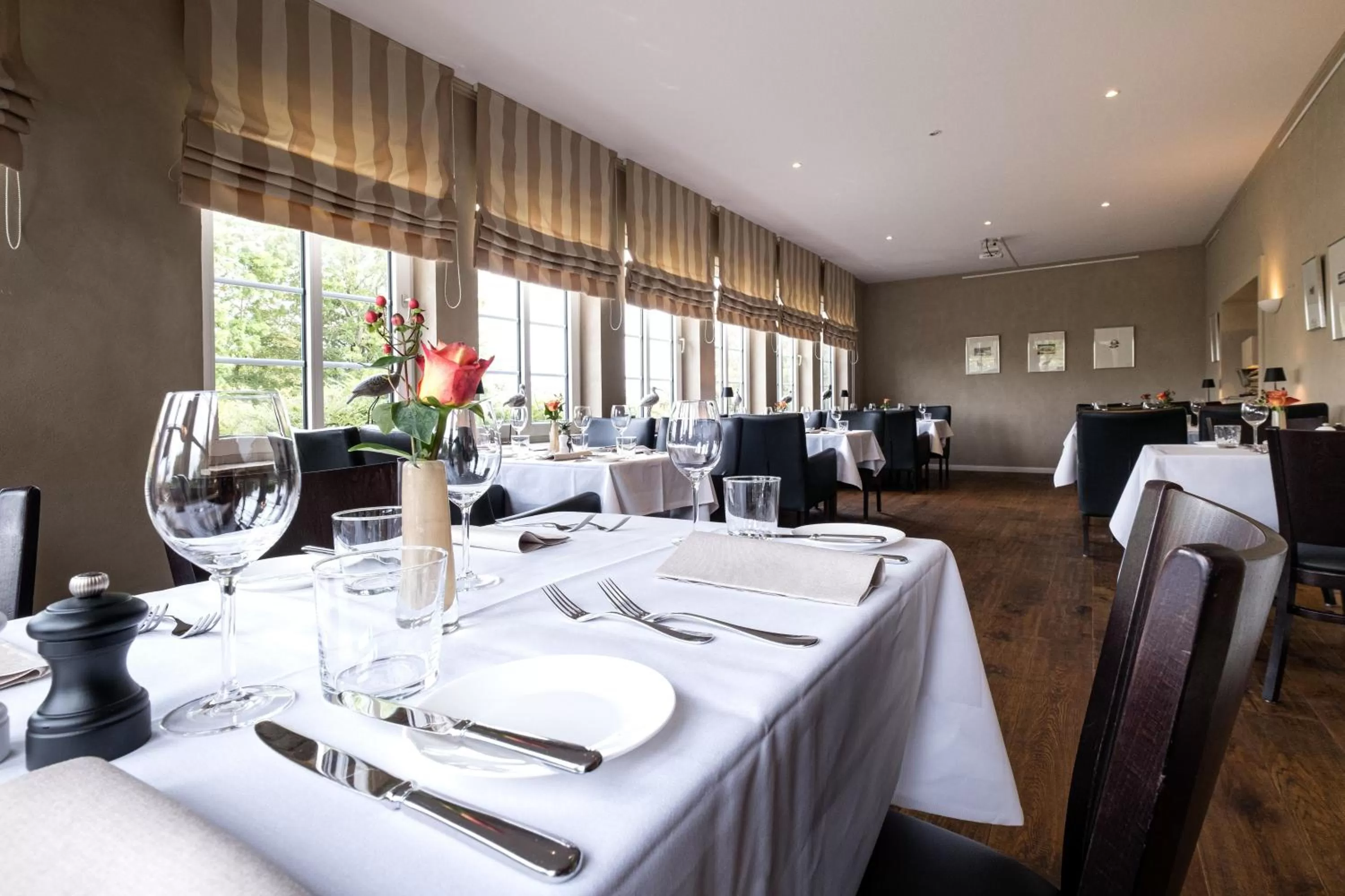 Restaurant/places to eat in Eichhorns