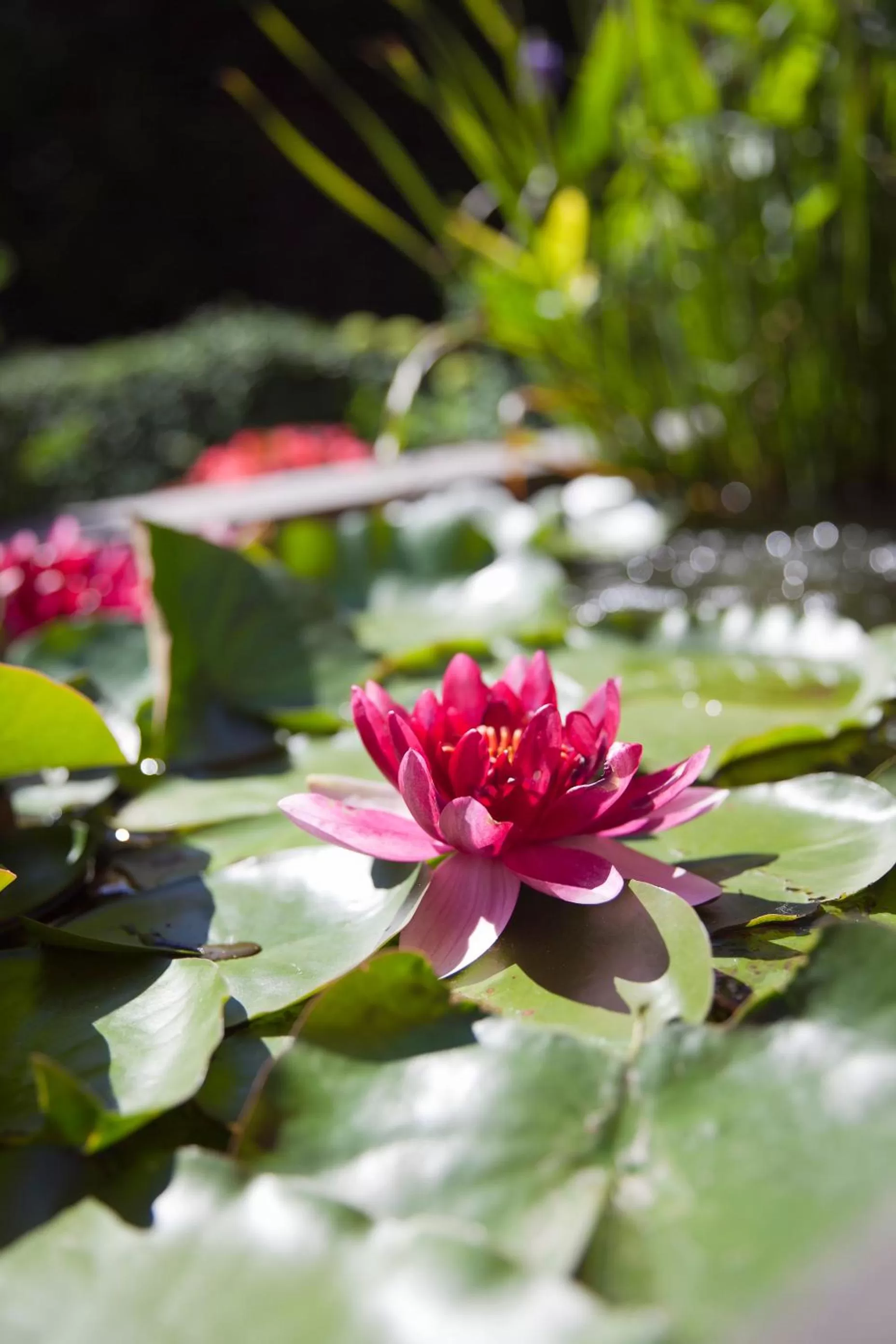 Property building in B&B De Gilleminus