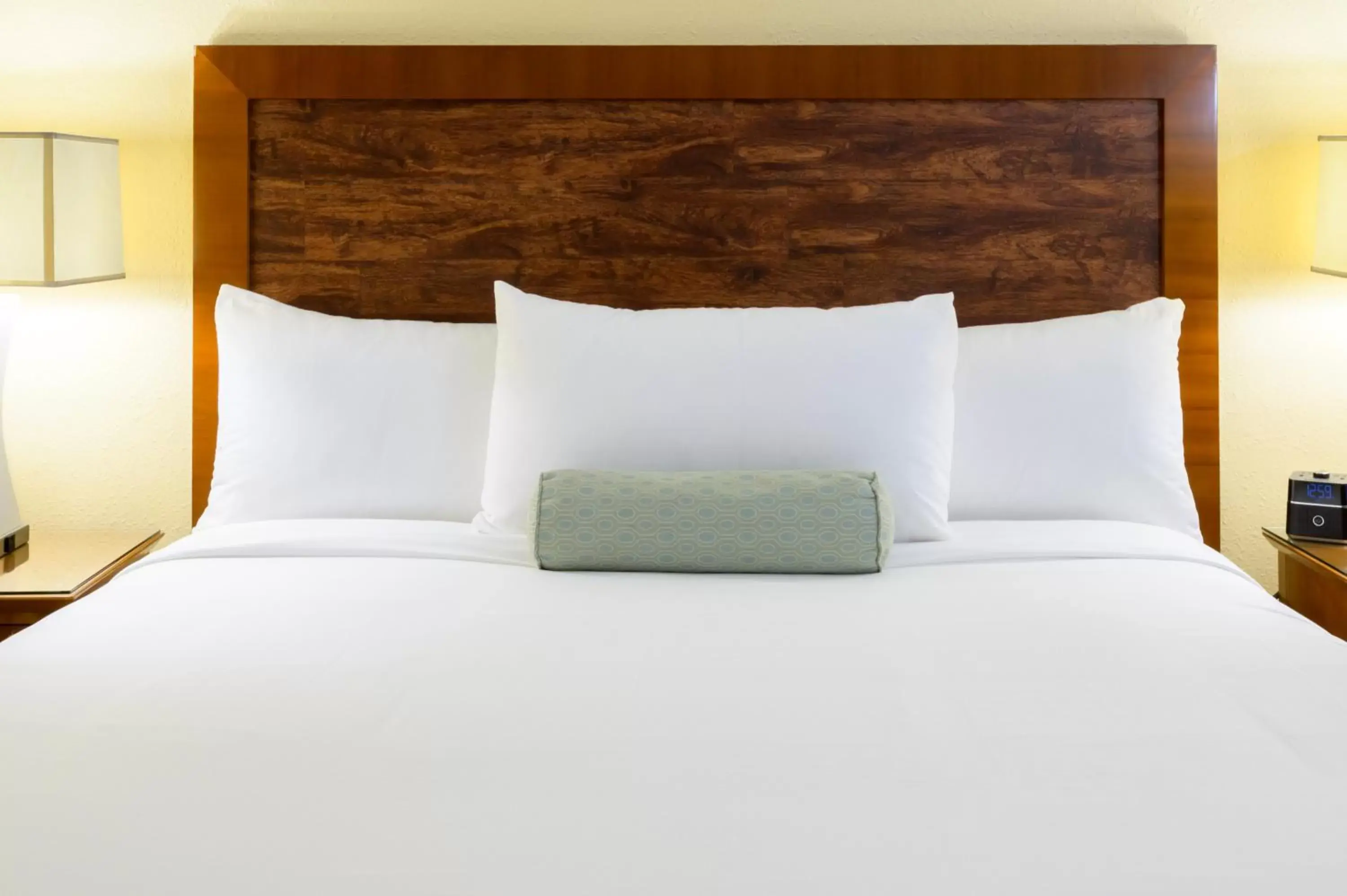 Traditional King Room in Airtel Plaza Hotel Traditional King Room in Airtel Plaza Hotel