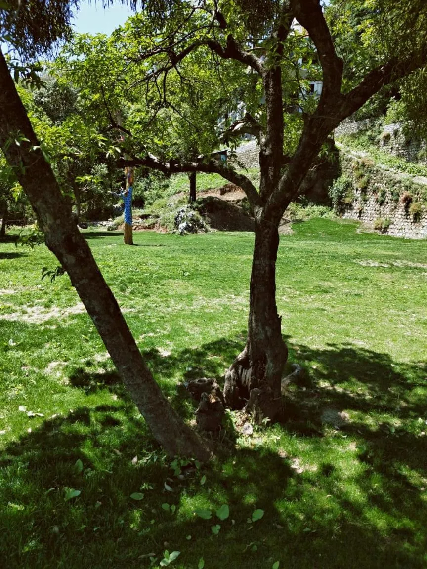 Garden in The Mountain Quail