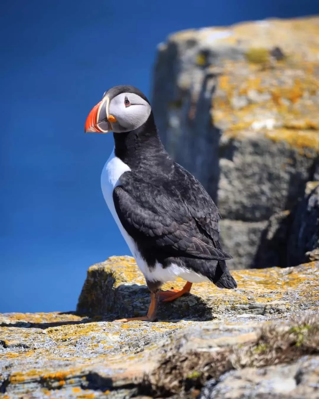 Natural landscape in The Harbourside Inn