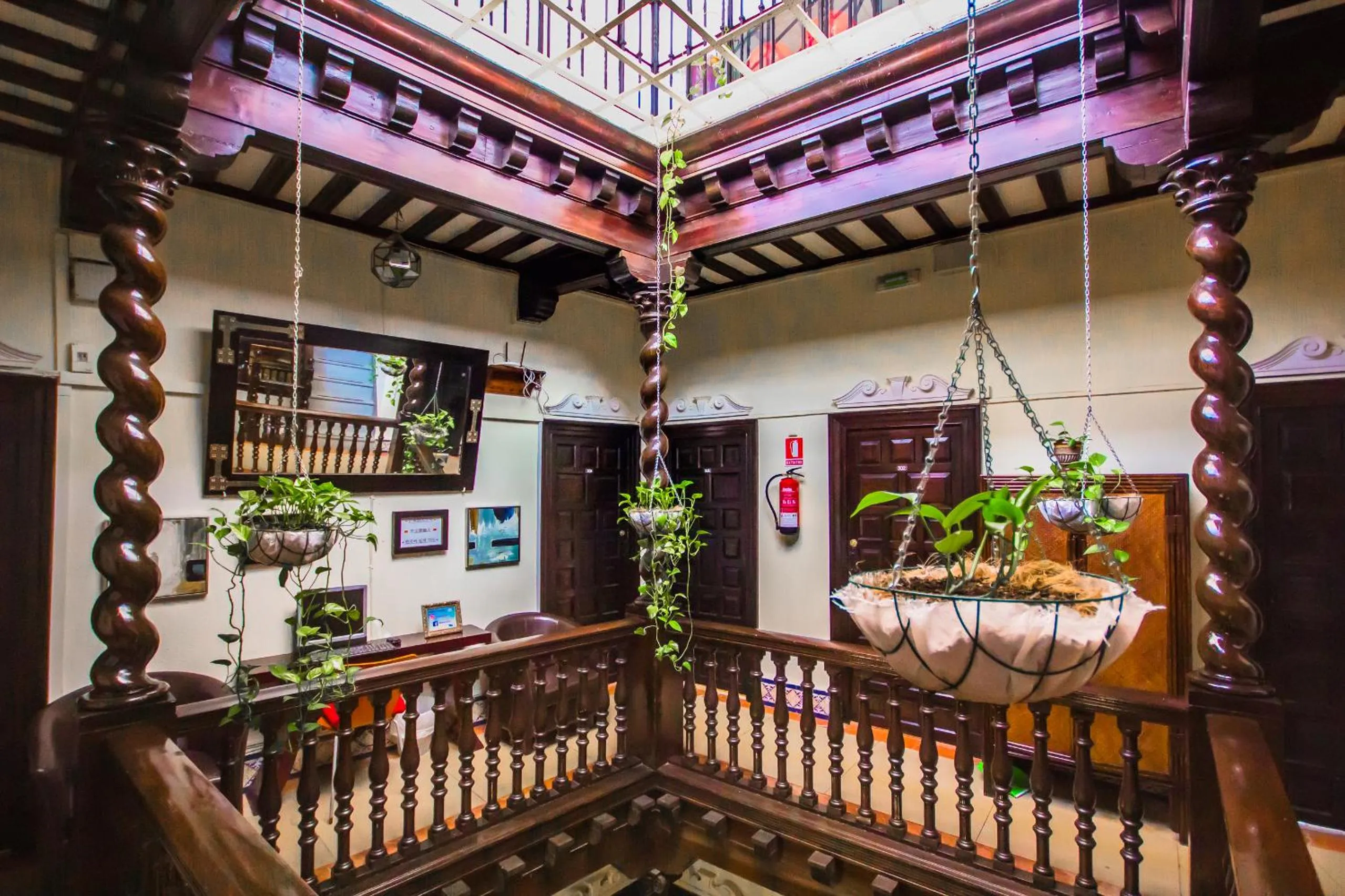 Property building in Nuevo Suizo