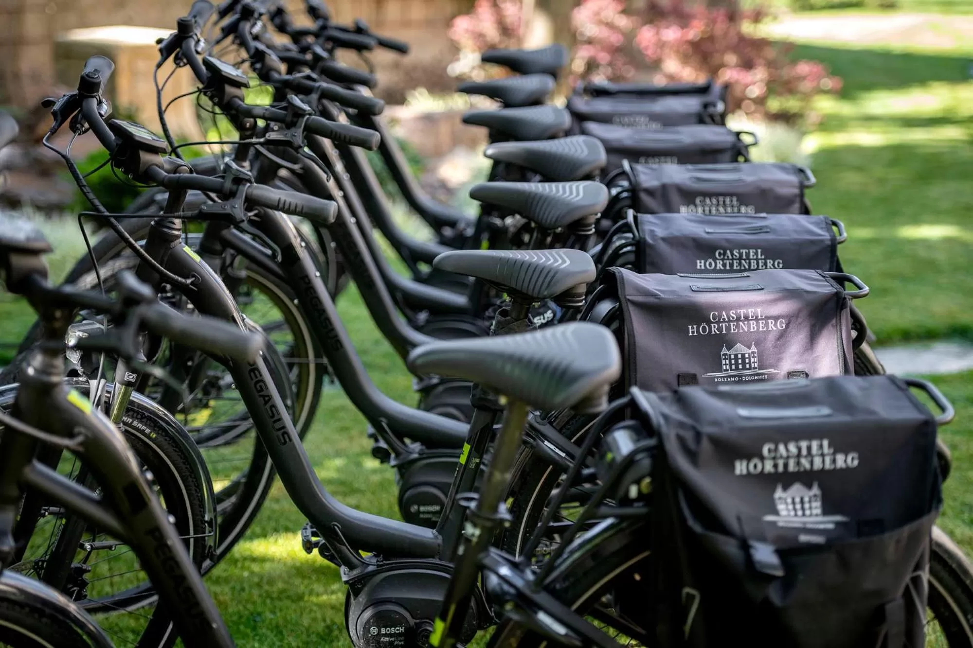 Activities in Castel Hörtenberg