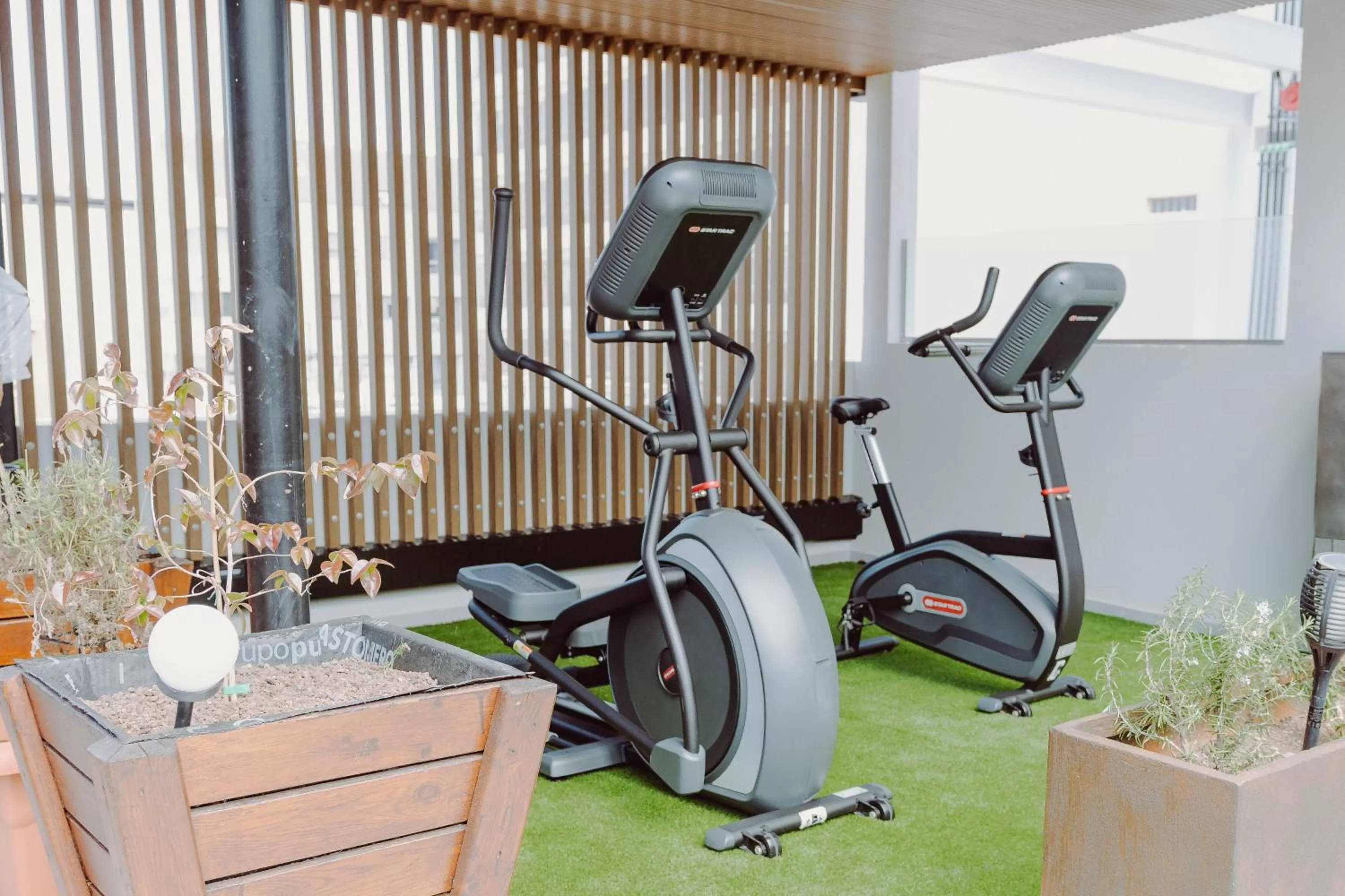 Area and facilities in Catalina Plaza Hotel Sostenible