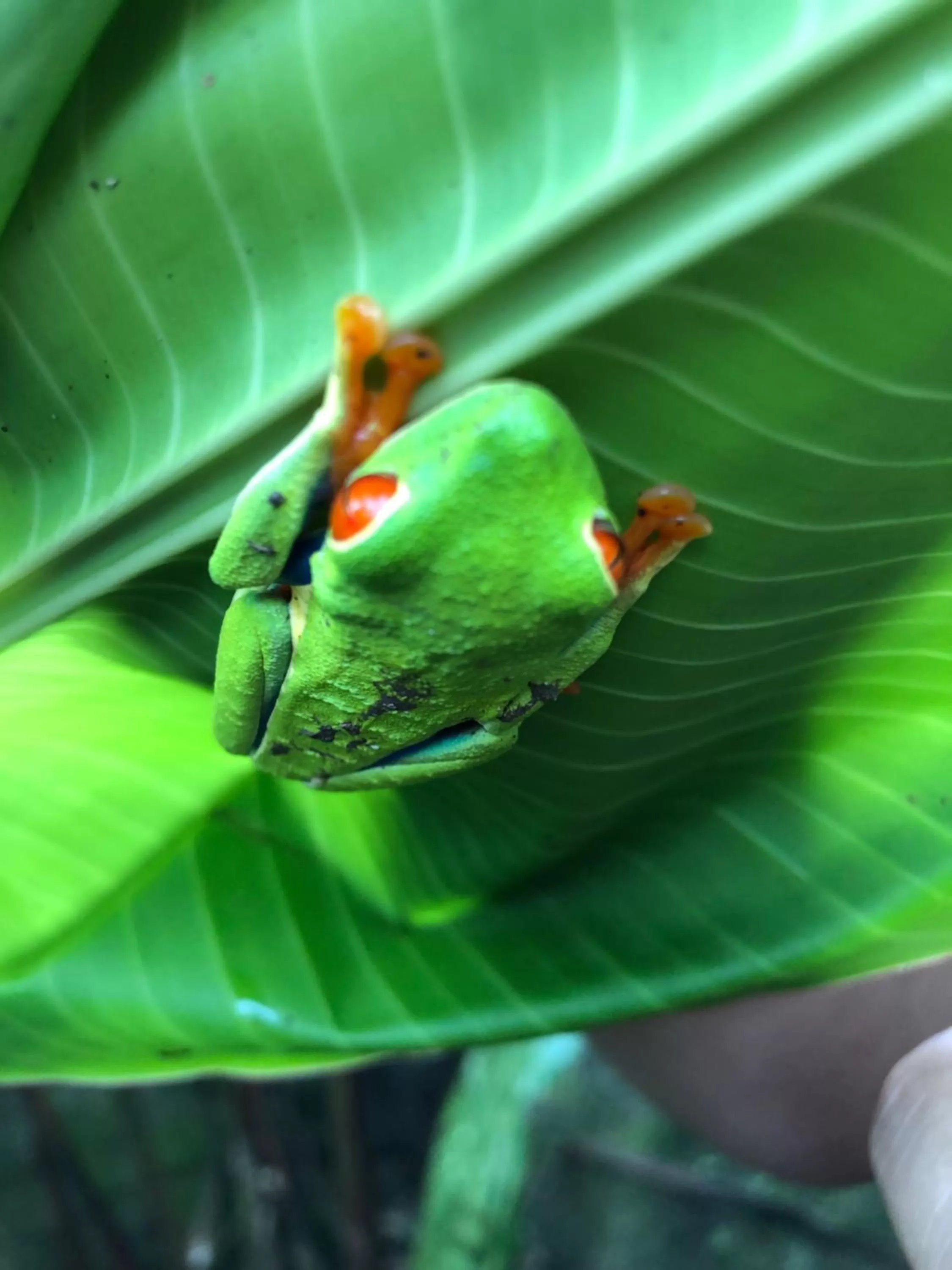 Property building in Sangregado Lodge