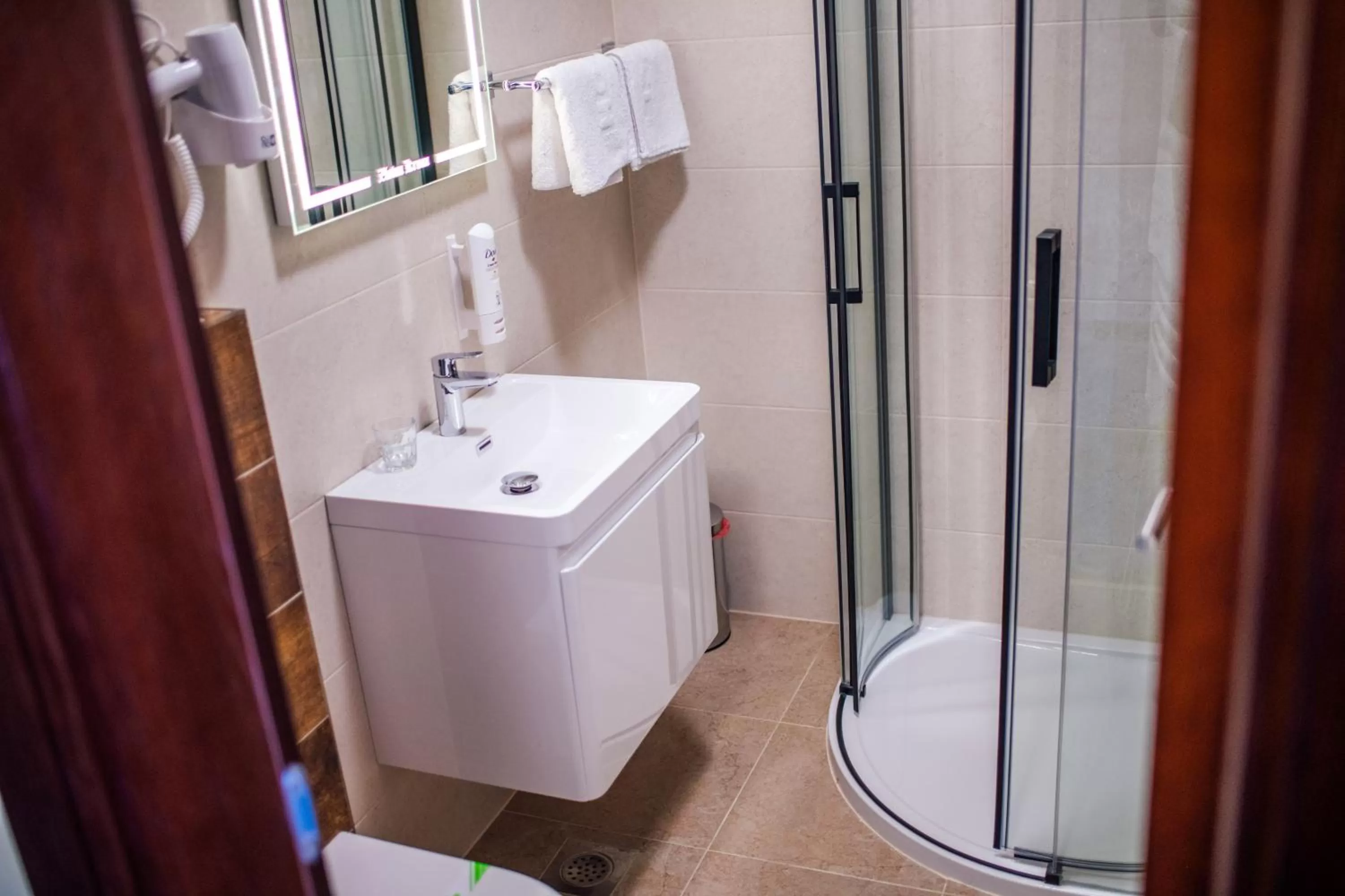 Bathroom in Zlatna Kruna