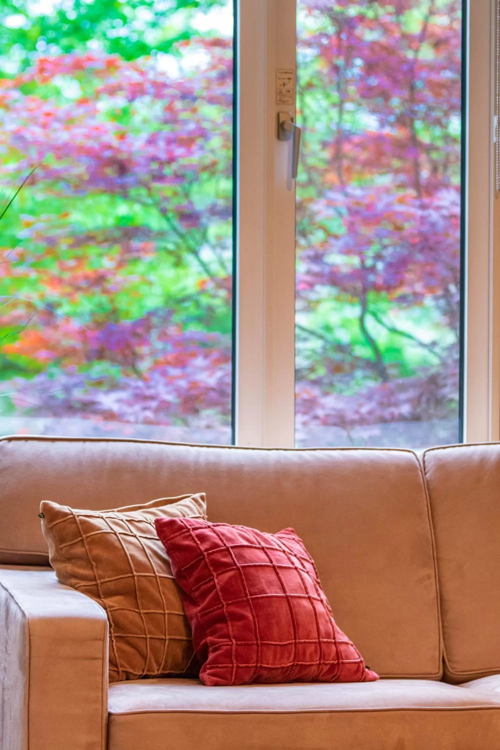 Living room in Fresh Powder Accommodation