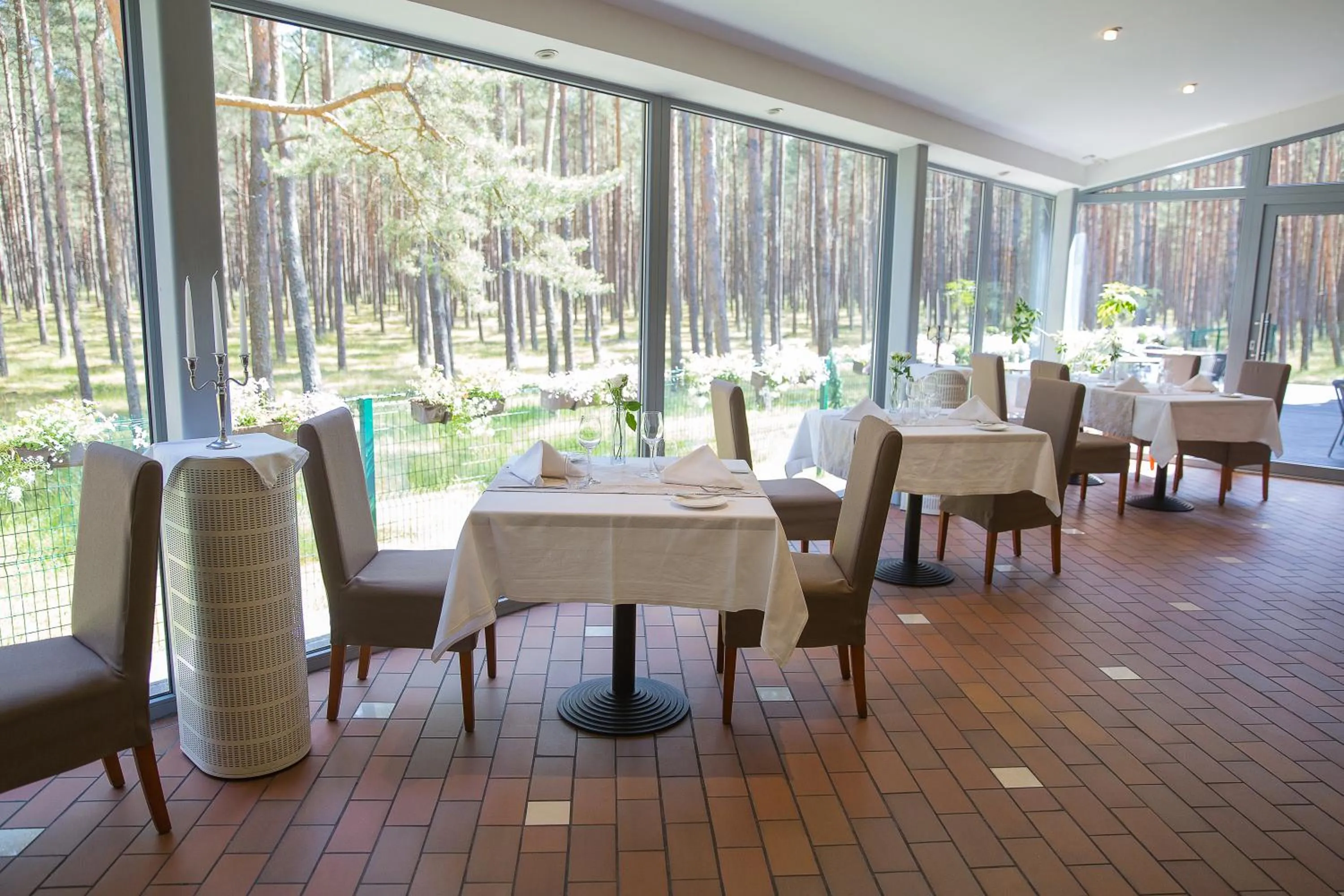 Restaurant/places to eat in Meduza Hotel