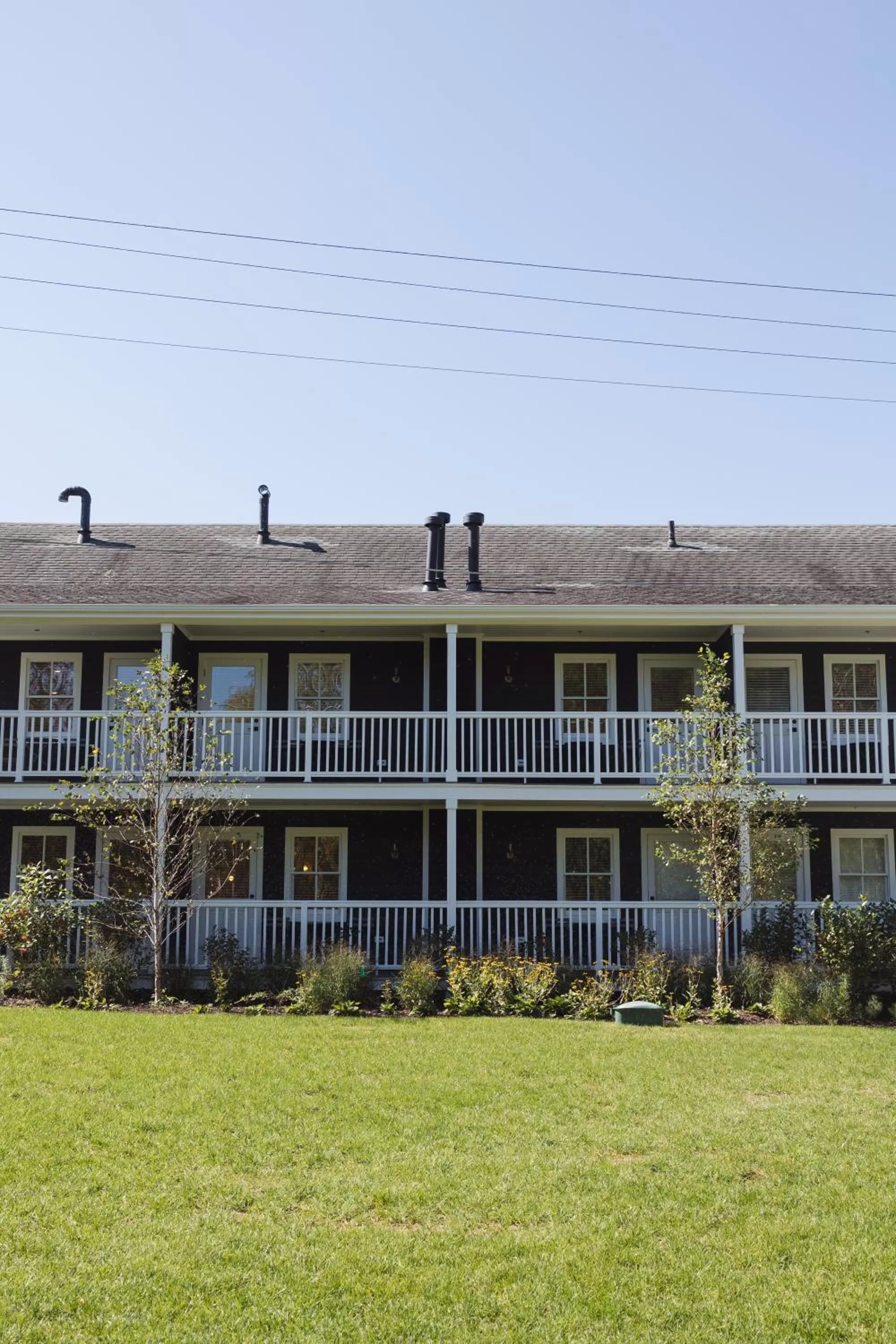 Property building in The Wildset