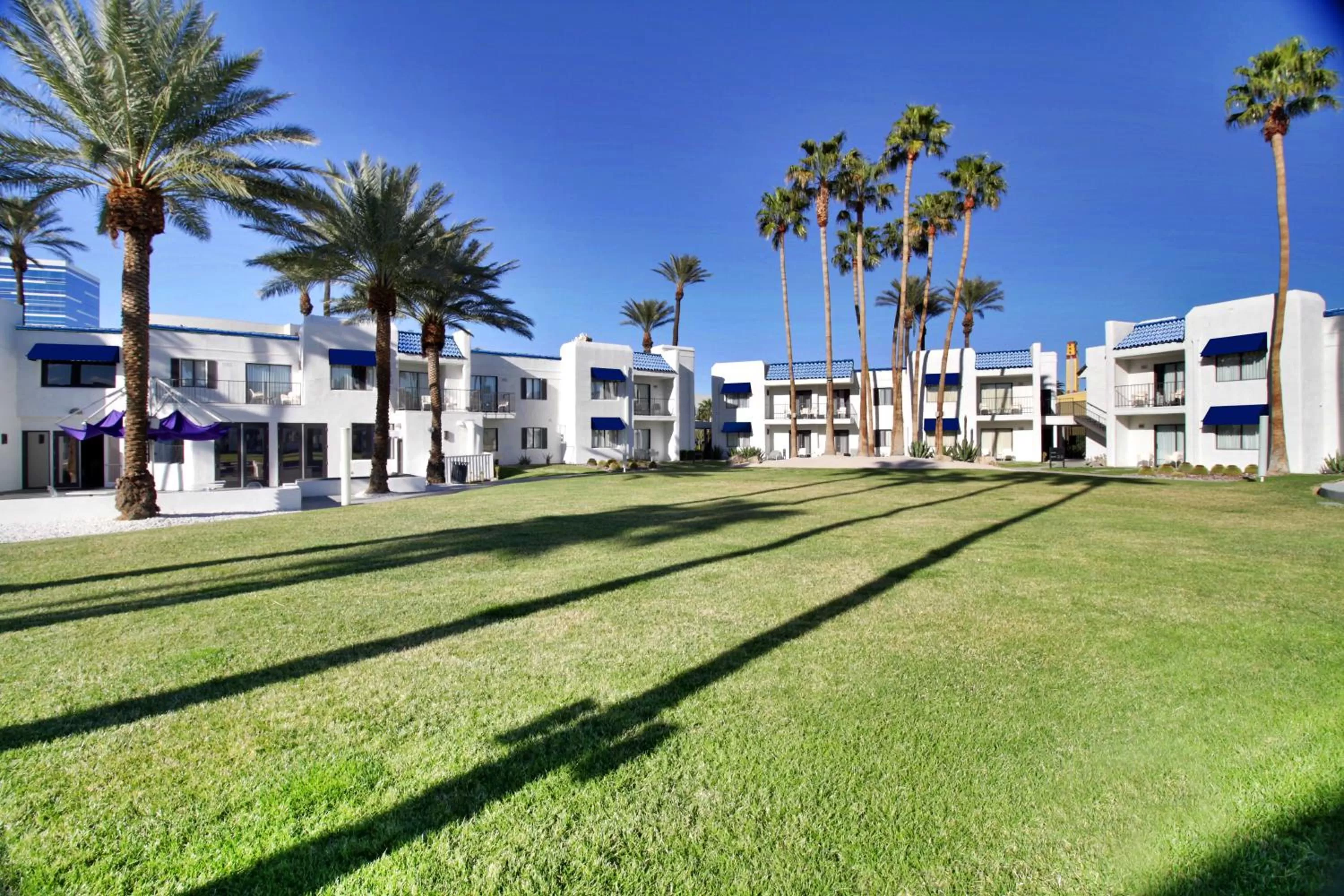 Garden in Serene Vegas Boutique Hotel Las Vegas