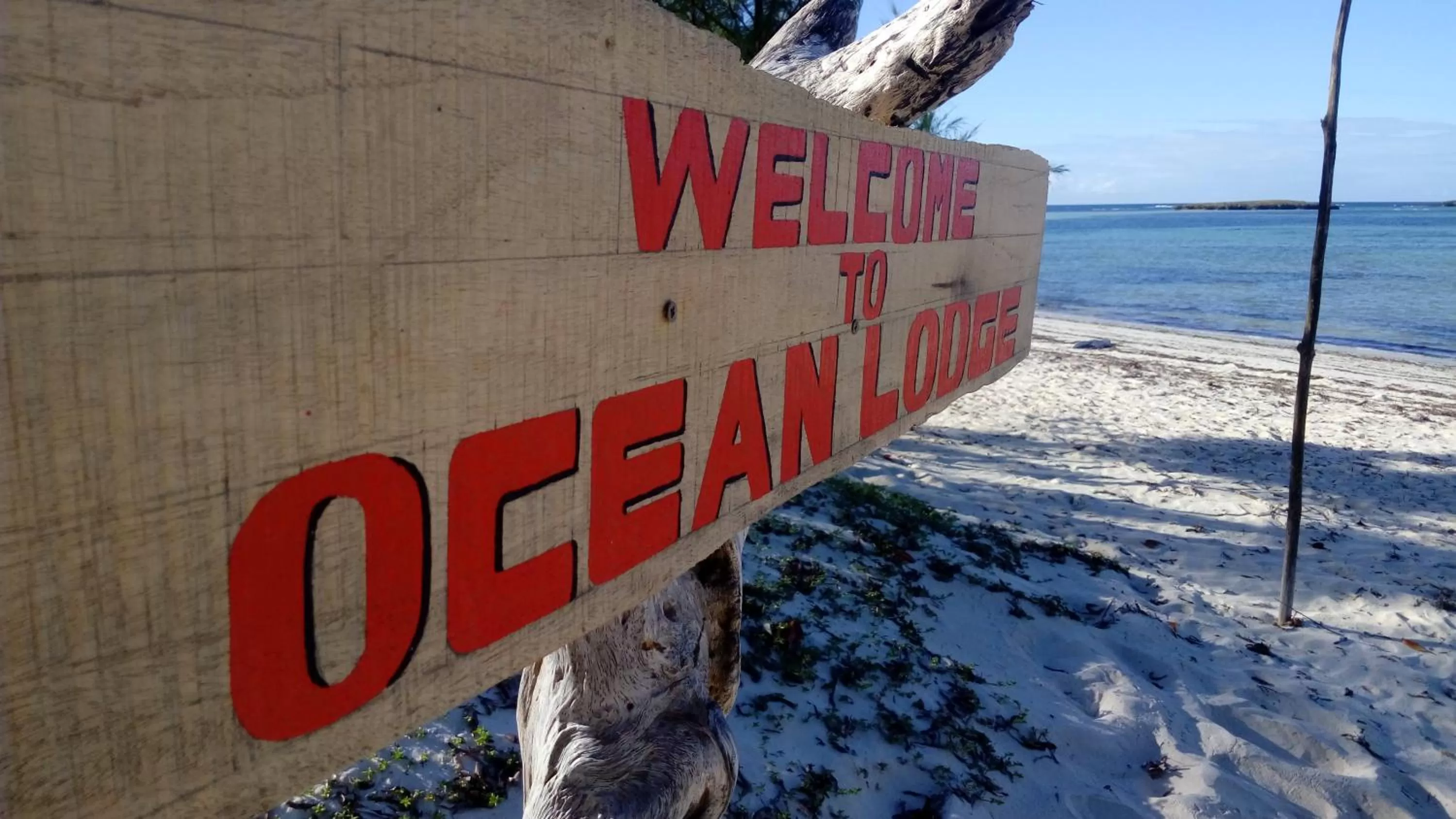 Logo/Certificate/Sign in Ocean Lodge Kite & Windsurf