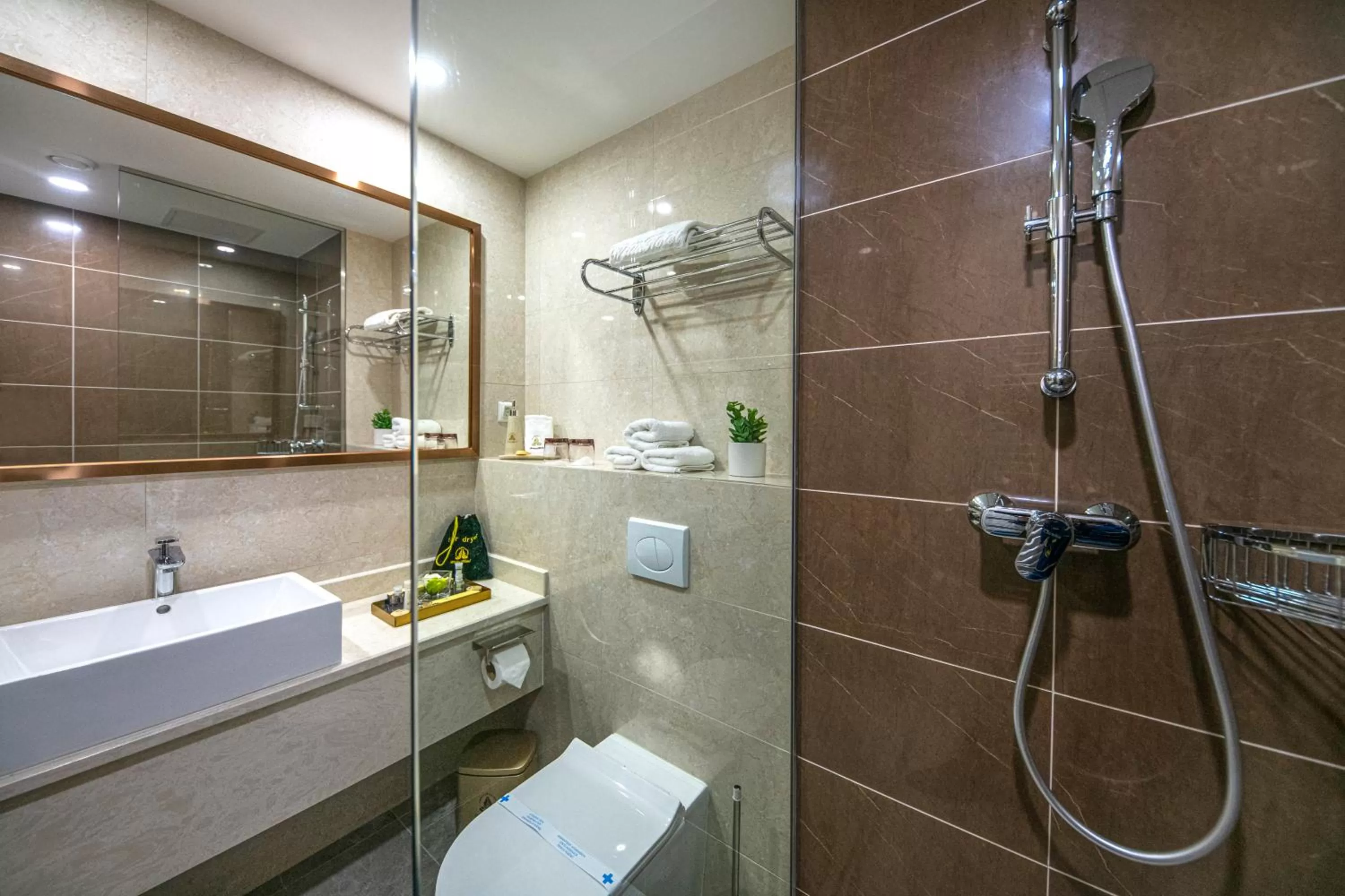 Shower in Willis Hotel Business & Wellness