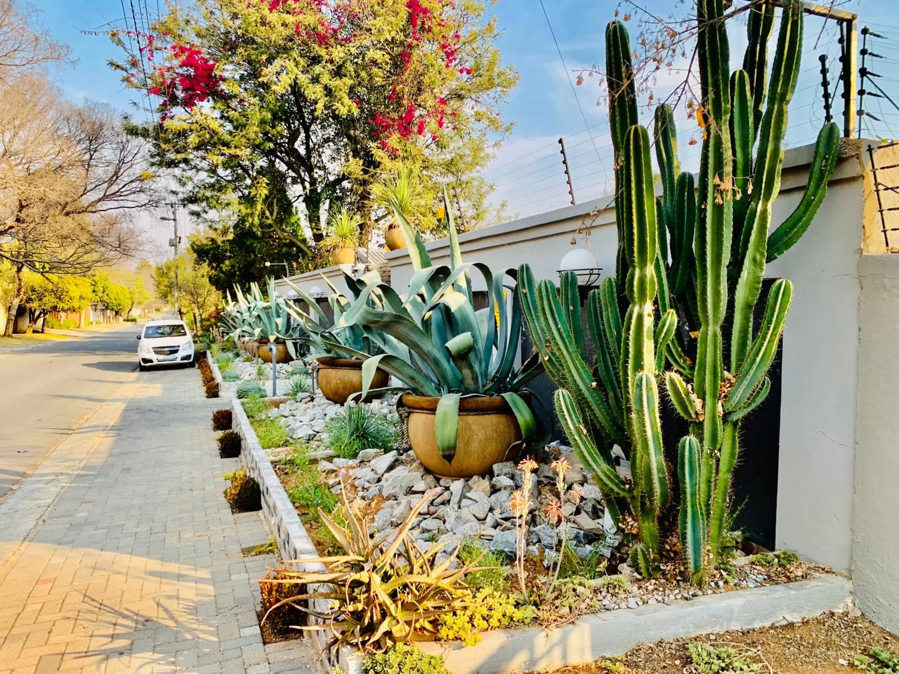 24 On Basil Inventive suites