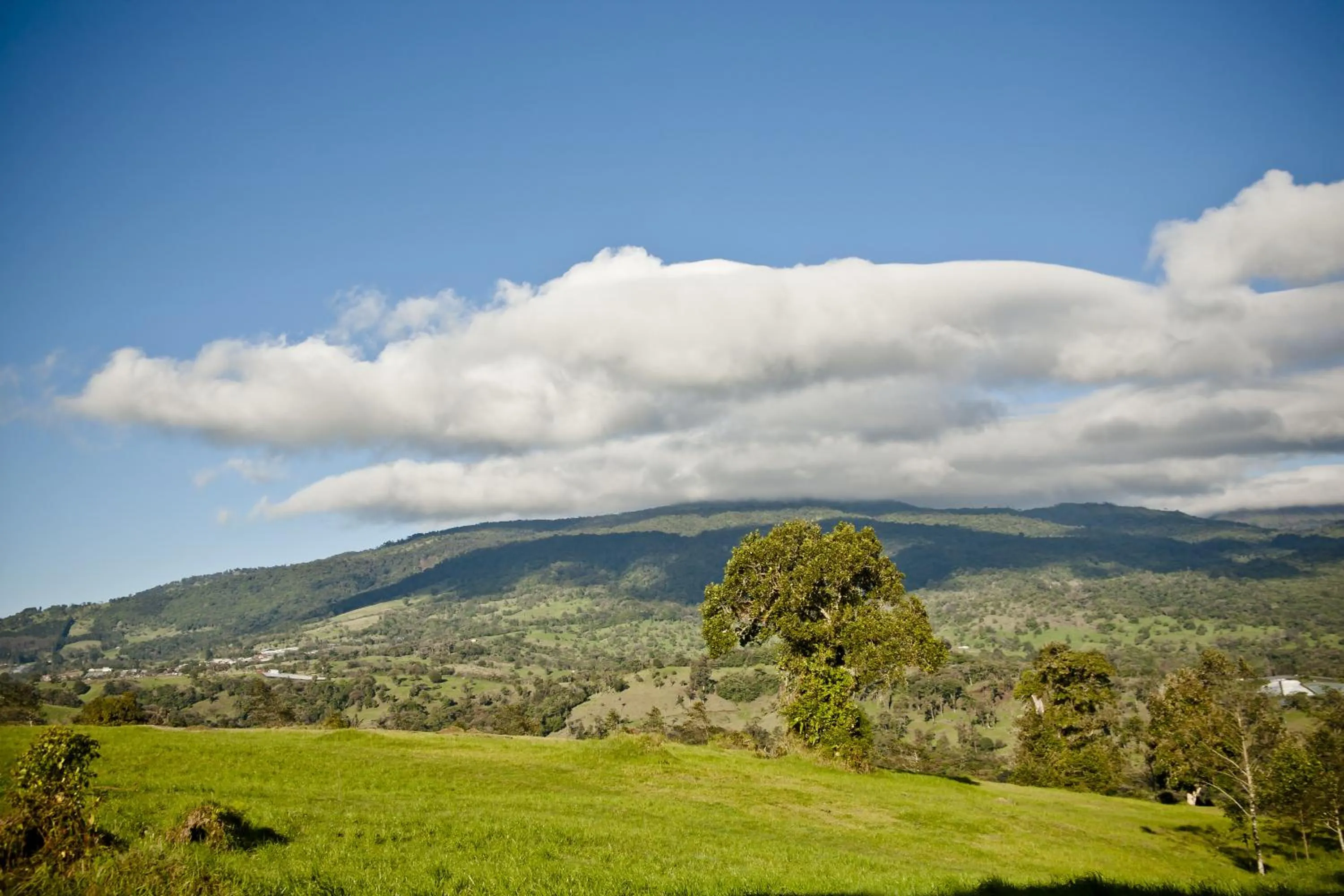 Summer in Poas Volcano Lodge