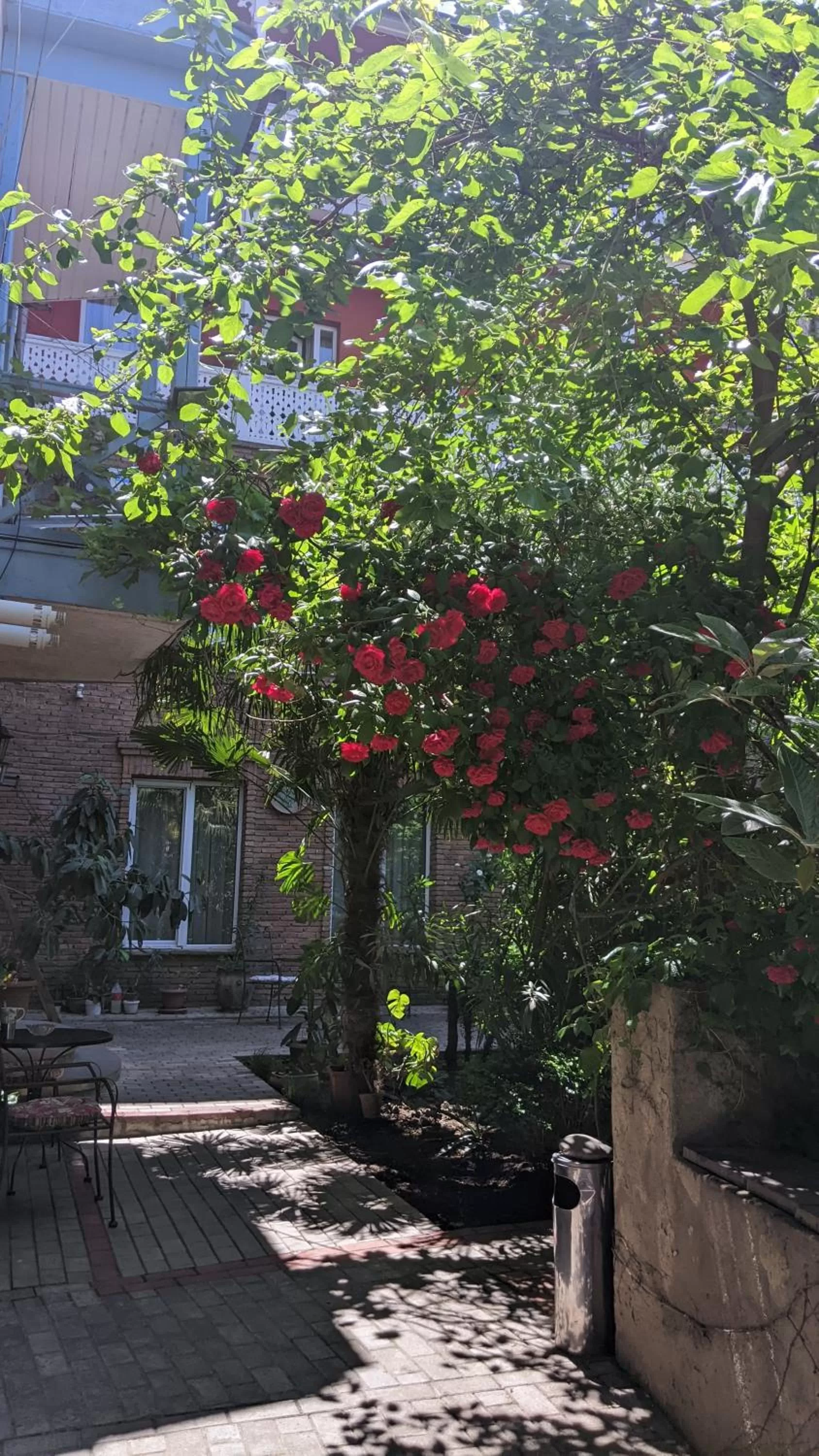 Garden in Hotel Kalanga