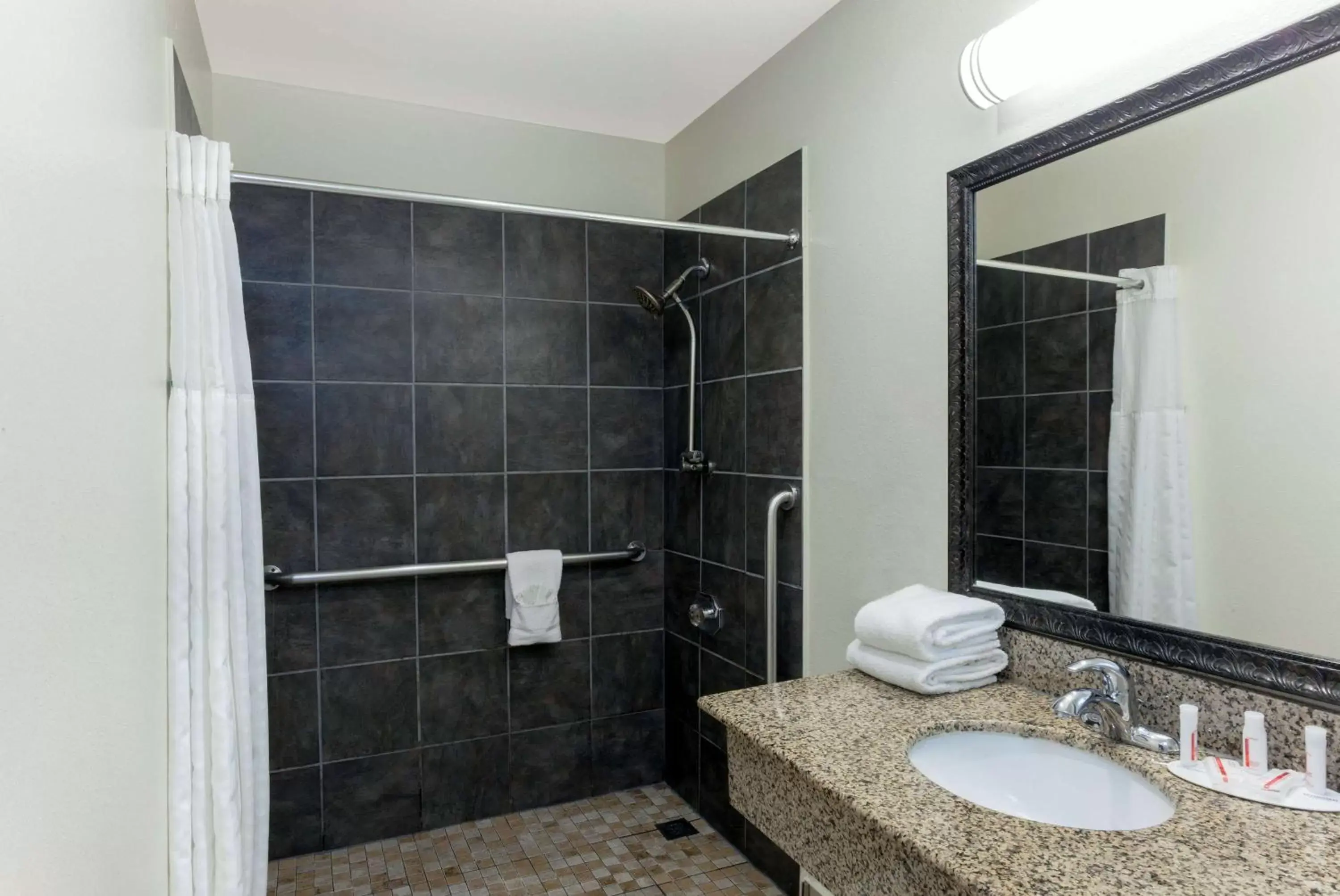 Queen Room with Roll-In Shower - Mobility/Hearing Accessible - Non-Smoking in Super 8 by Wyndham San Diego Hotel Circle Queen Room with Roll-In Shower - Mobility/Hearing Accessible - Non-Smoking in Super 8 by Wyndham San Diego Hotel Circle