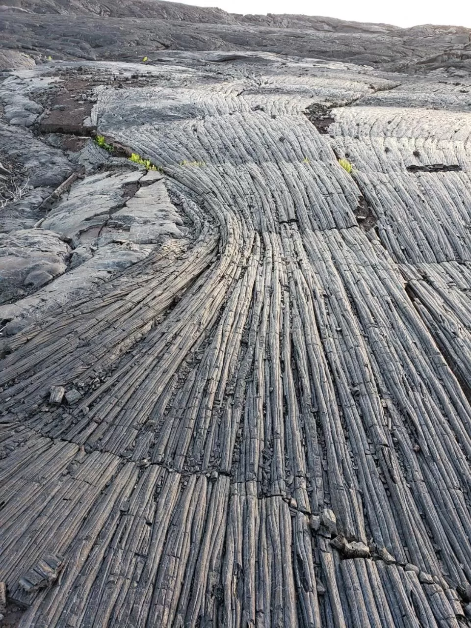 Natural landscape in Ma'ukele Lodge