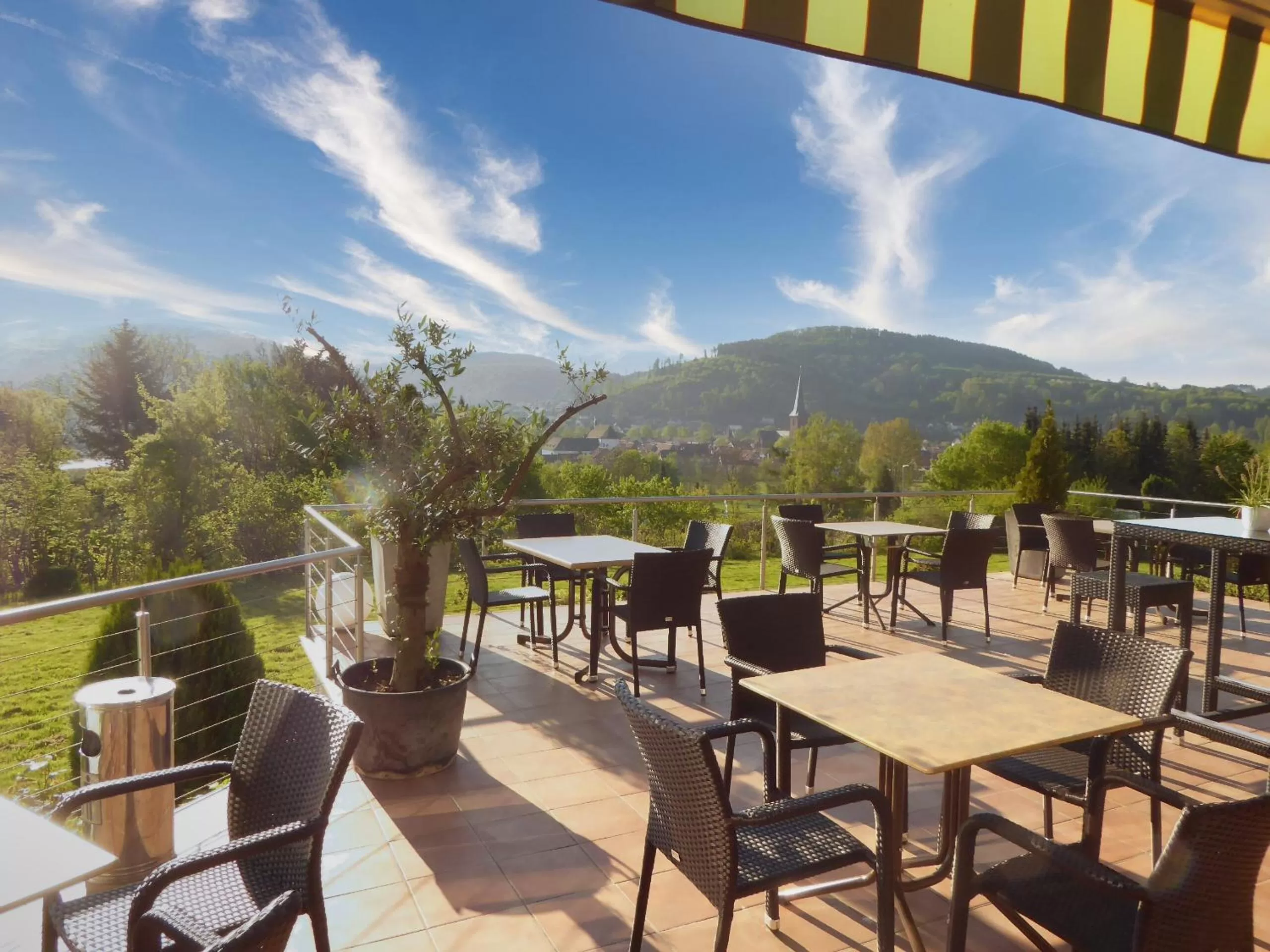 Garden, Restaurant/Places to Eat in Sonnenhof