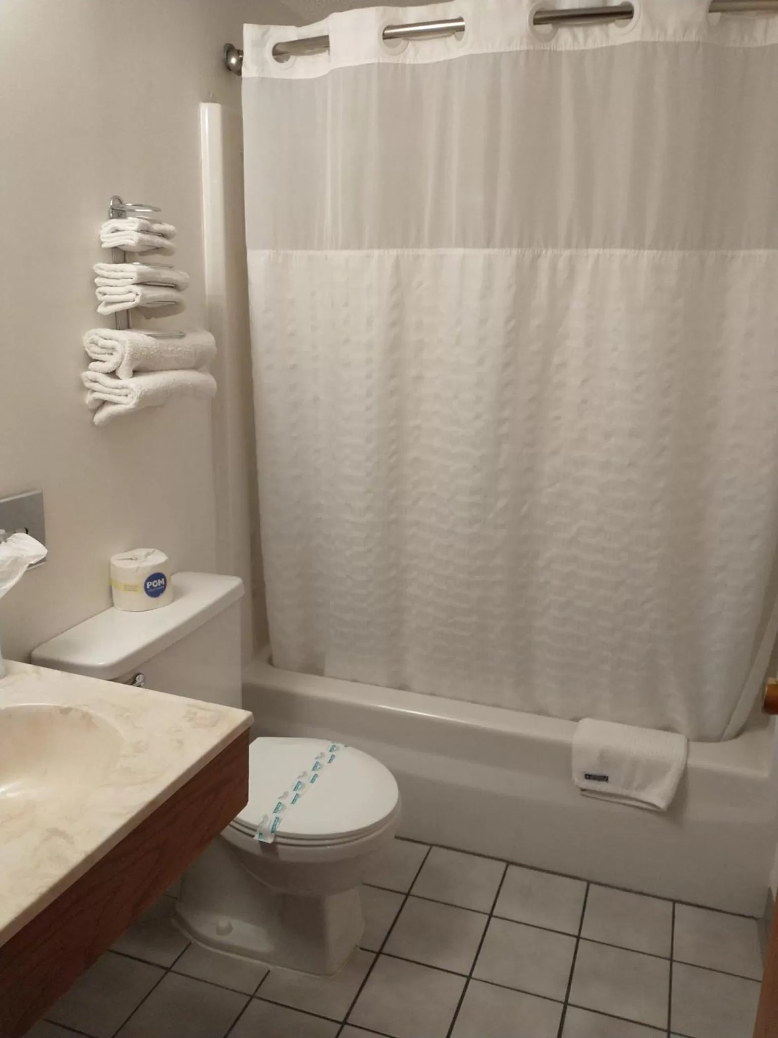 Bathroom in Sauk River Inn & Suites, a Travelodge by Wyndham