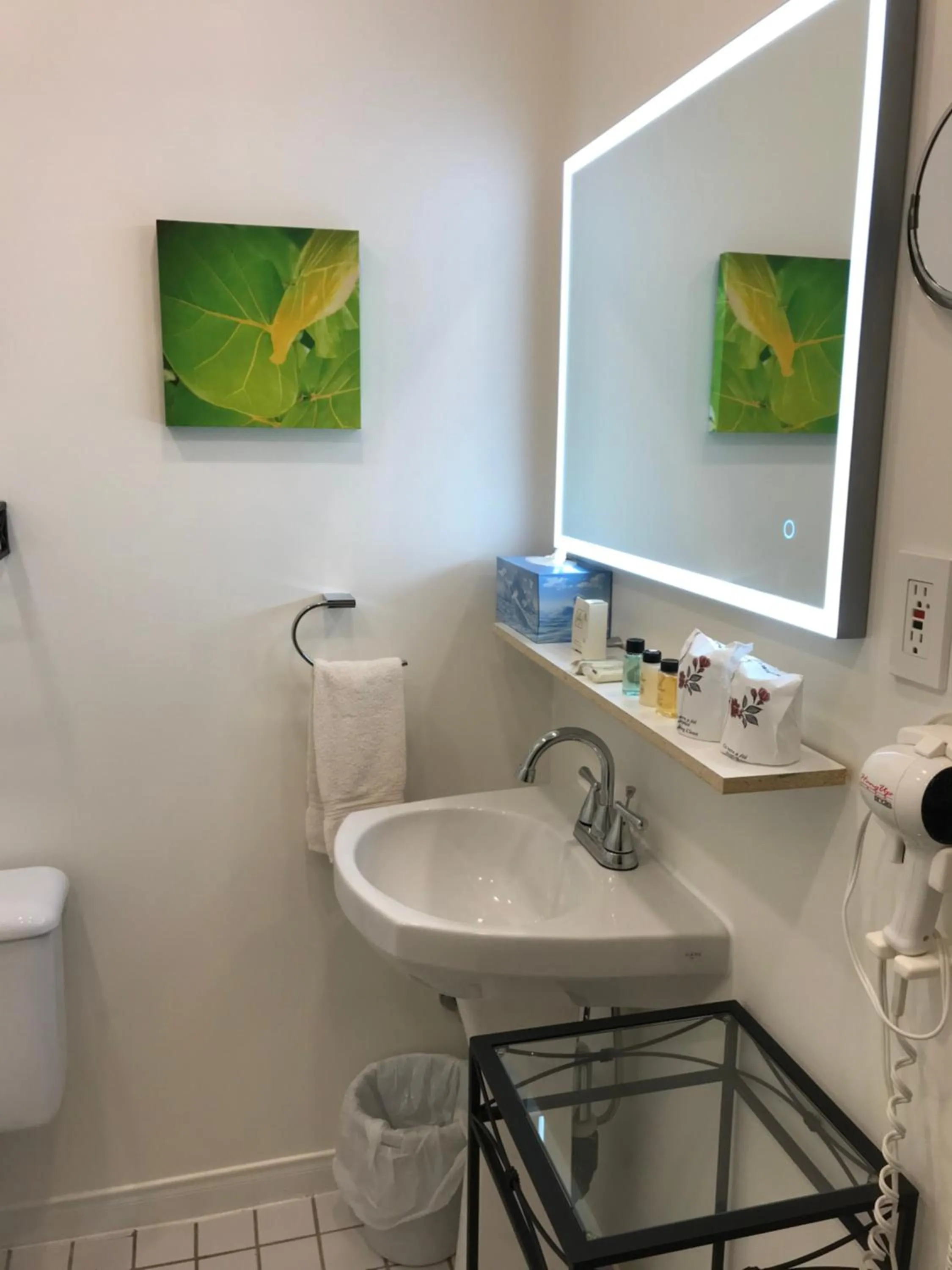 Auberge du Sault-à-la-Puce