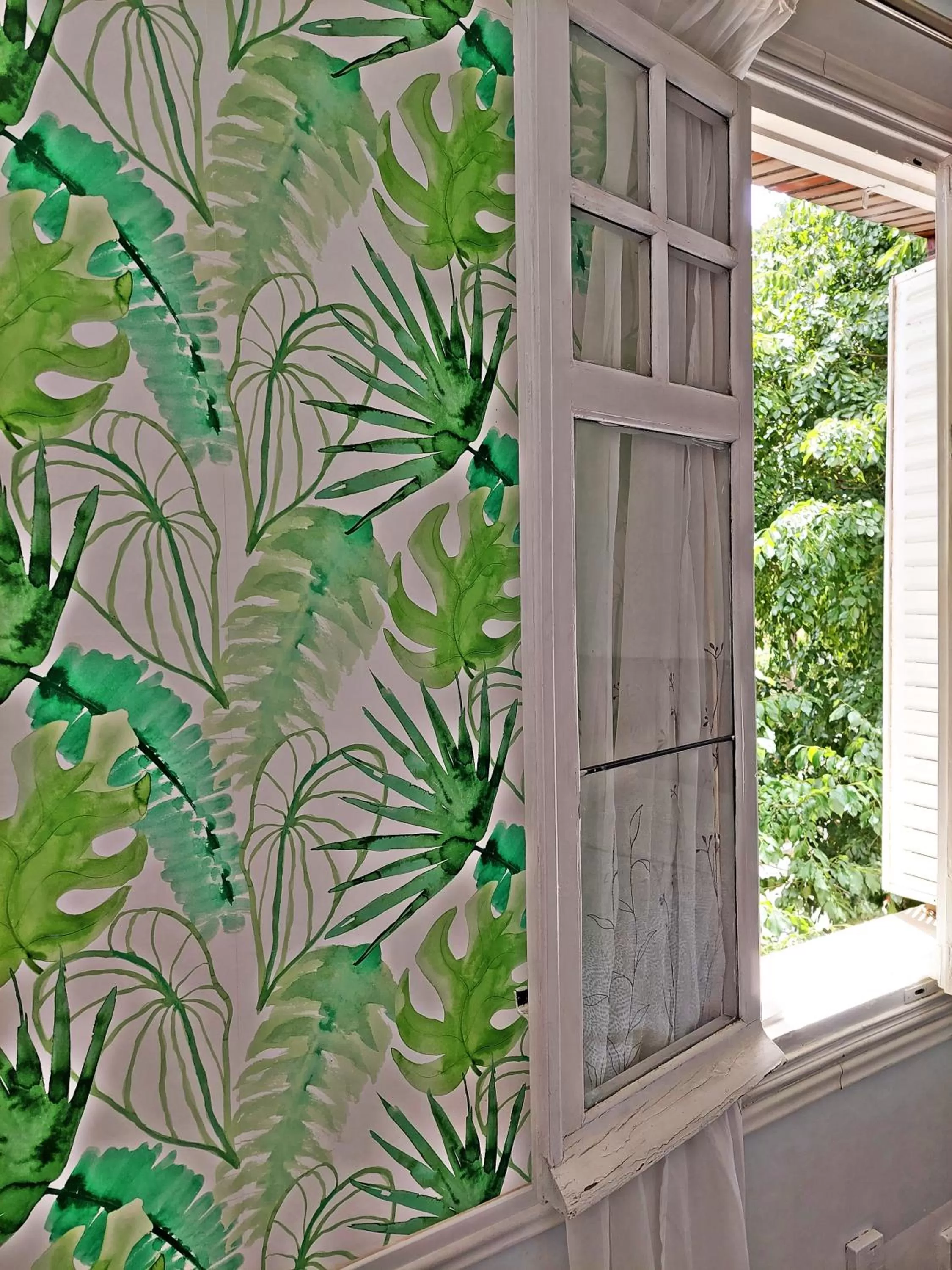 Garden in N1 Casa de Madrid - greenpeace line