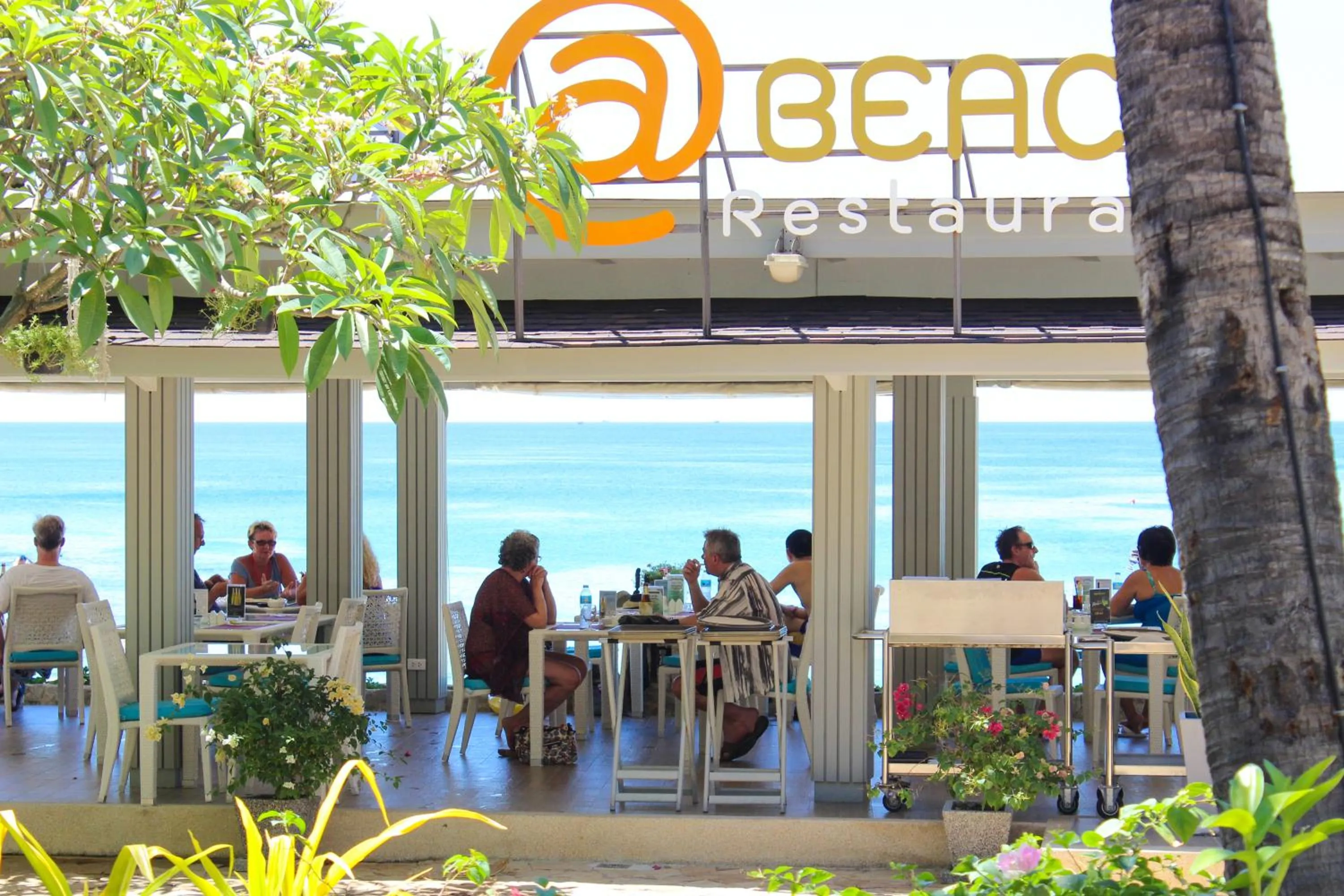 Guests in Beyond Karon